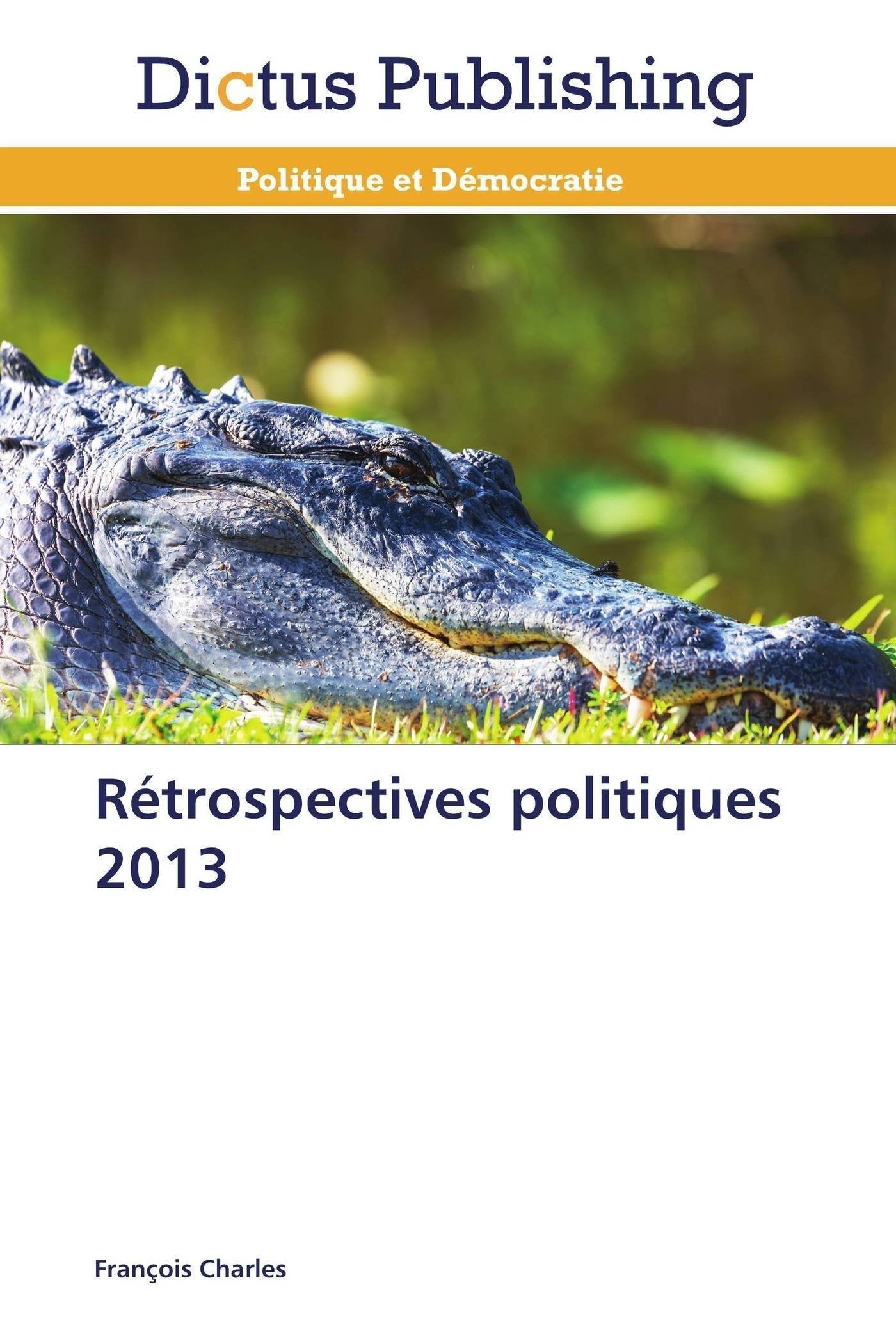 Rétrospectives politiques 2013 book