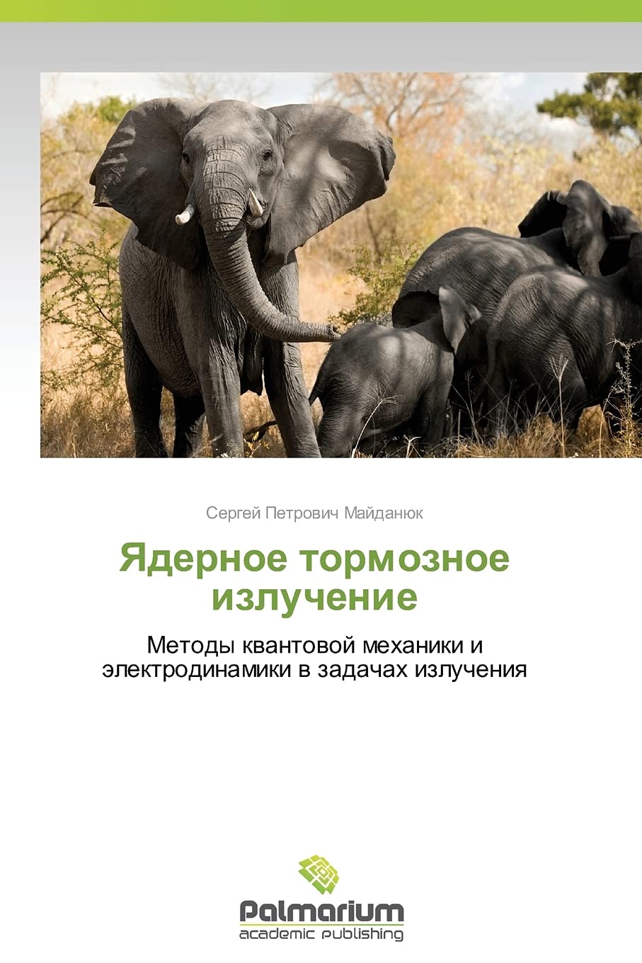 Yadernoe tormoznoe izluchenie: Metody kvantovoy mekhaniki i elektrodinamiki v zadachakh izlucheniya Natural Sciences