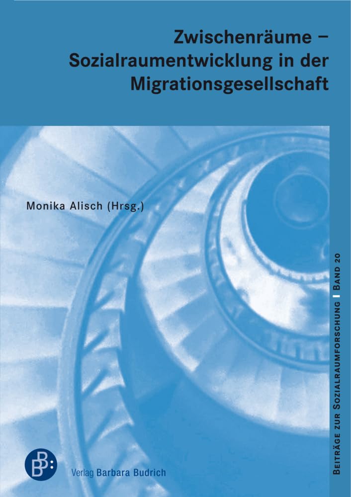 Zwischenräume - Sozialraumentwicklung und Sozialraumorganisation in der Einwanderungsgesellschaft (Beiträge zur Sozialraumforschung) Books