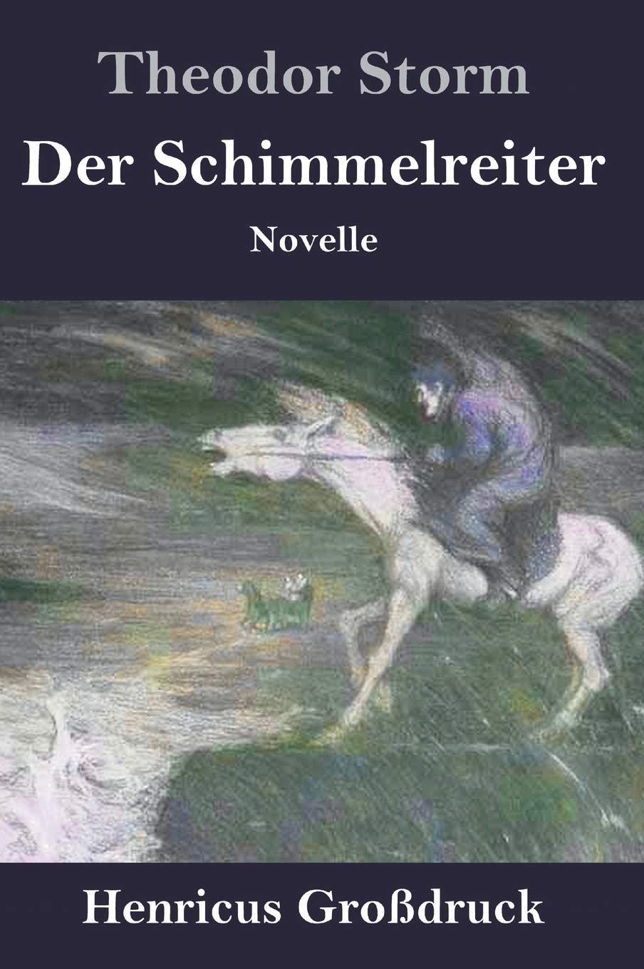 Der Schimmelreiter (Großdruck): Novelle Contemporary literature