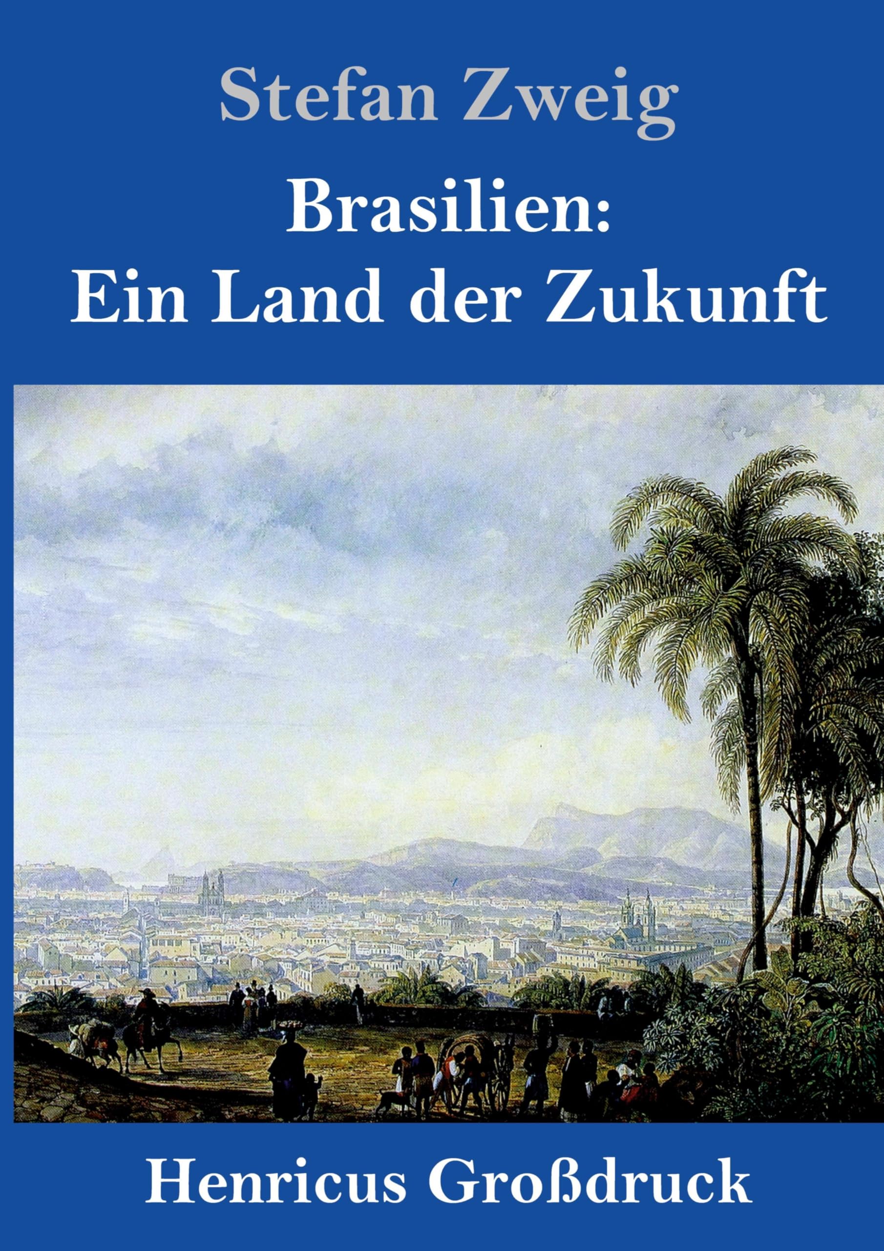 Brasilien: Ein Land der Zukunft (Großdruck) Contemporary literature