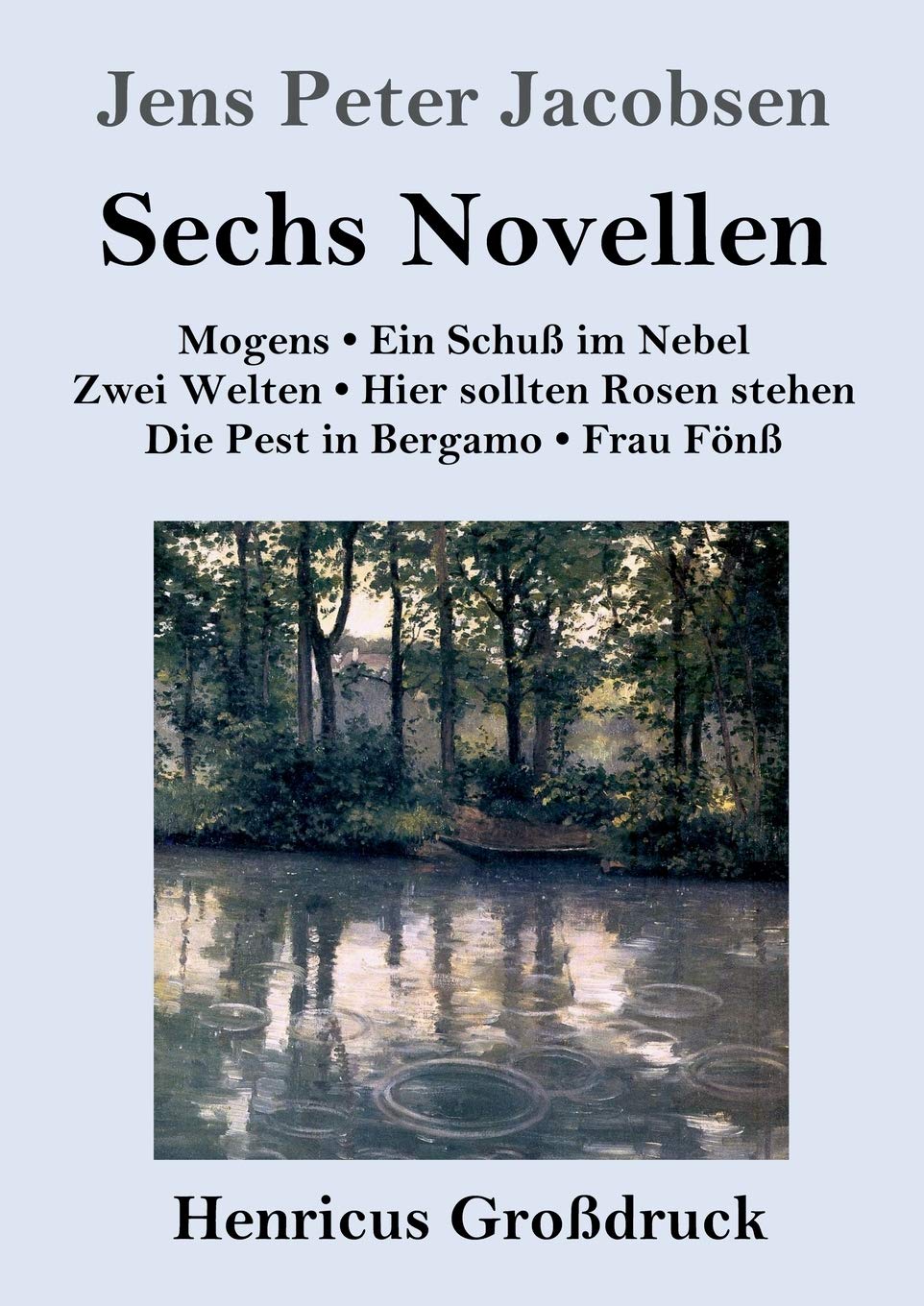 Sechs Novellen (Großdruck) Contemporary literature