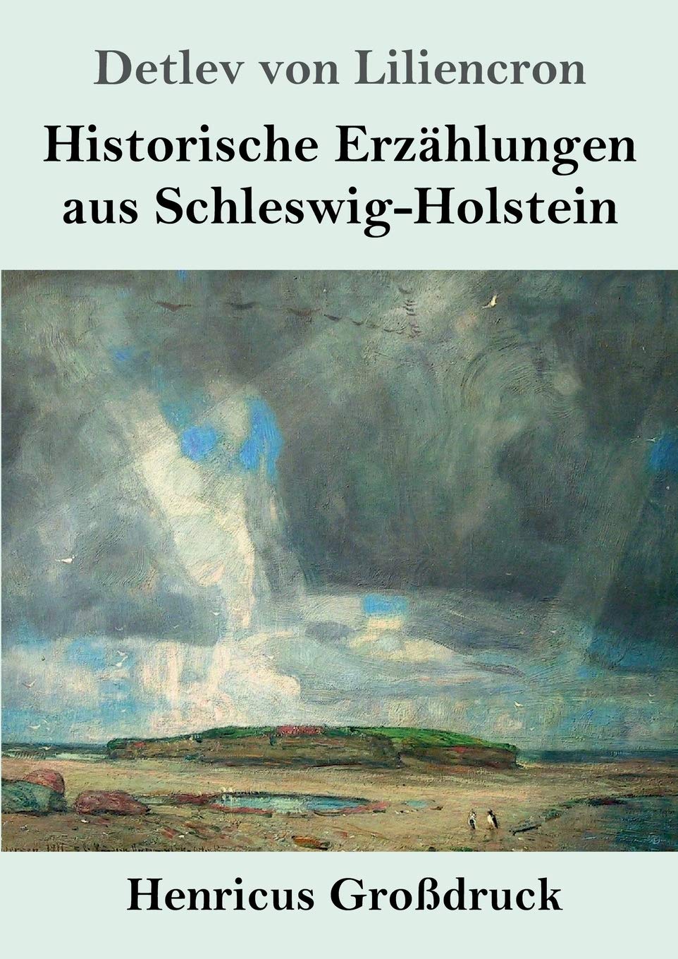 Historische Erzählungen aus Schleswig-Holstein (Großdruck) Contemporary literature