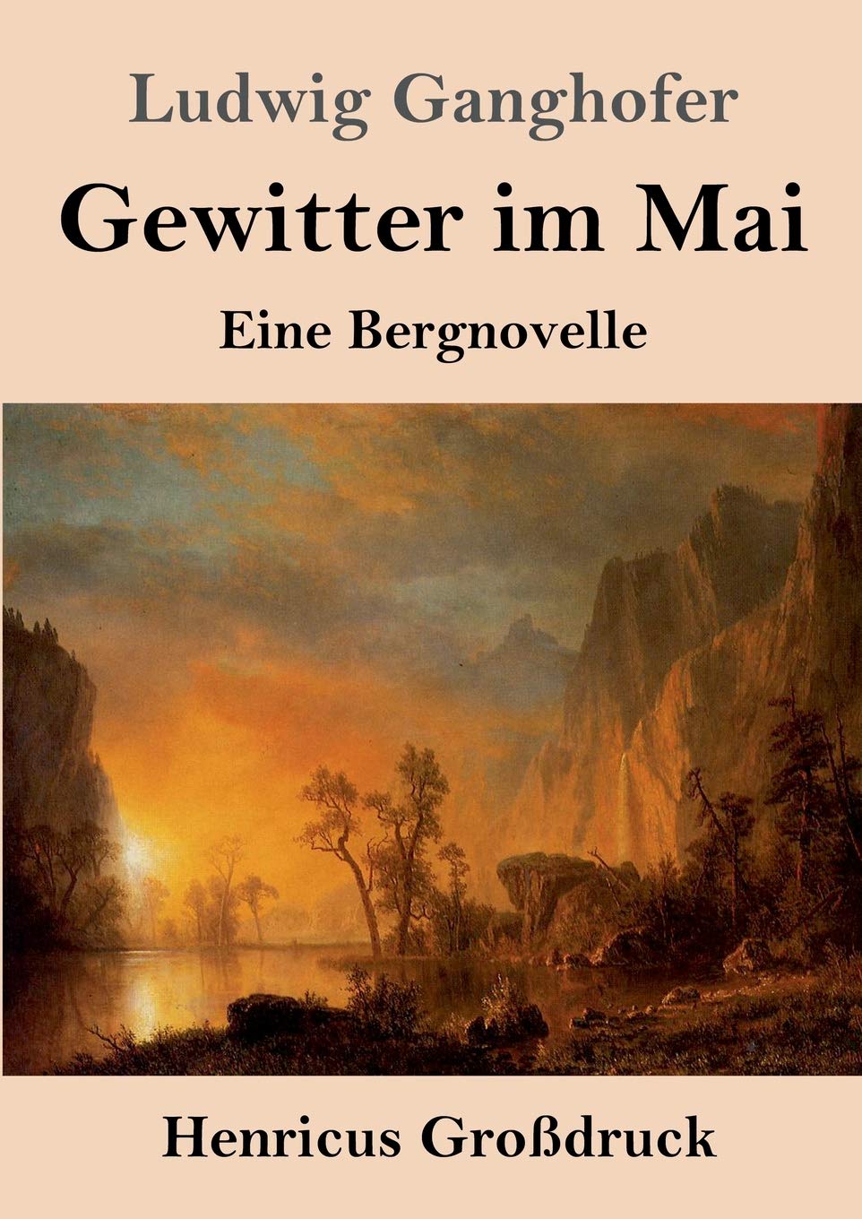 Gewitter im Mai (Großdruck): Eine Bergnovelle Contemporary literature