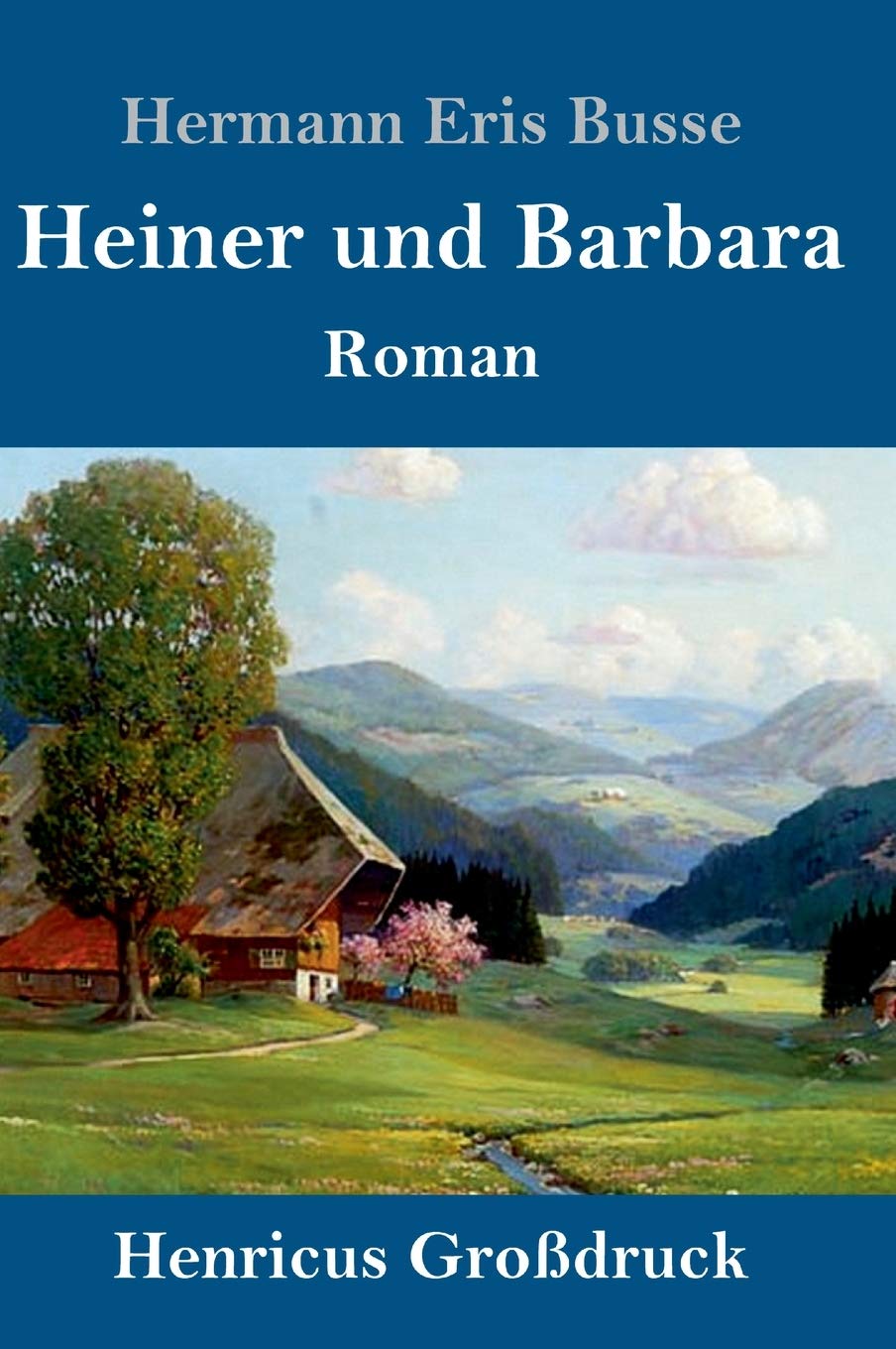 Heiner und Barbara (Großdruck): Roman Contemporary literature