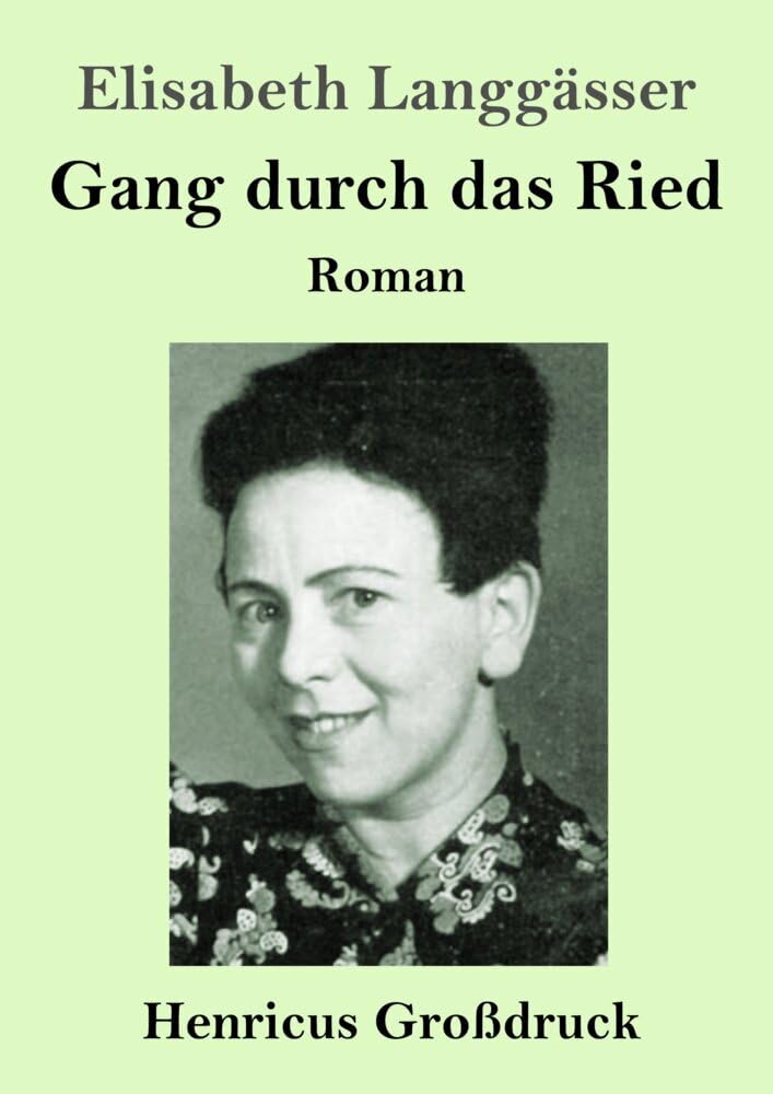 Gang durch das Ried (Großdruck): Roman Contemporary literature
