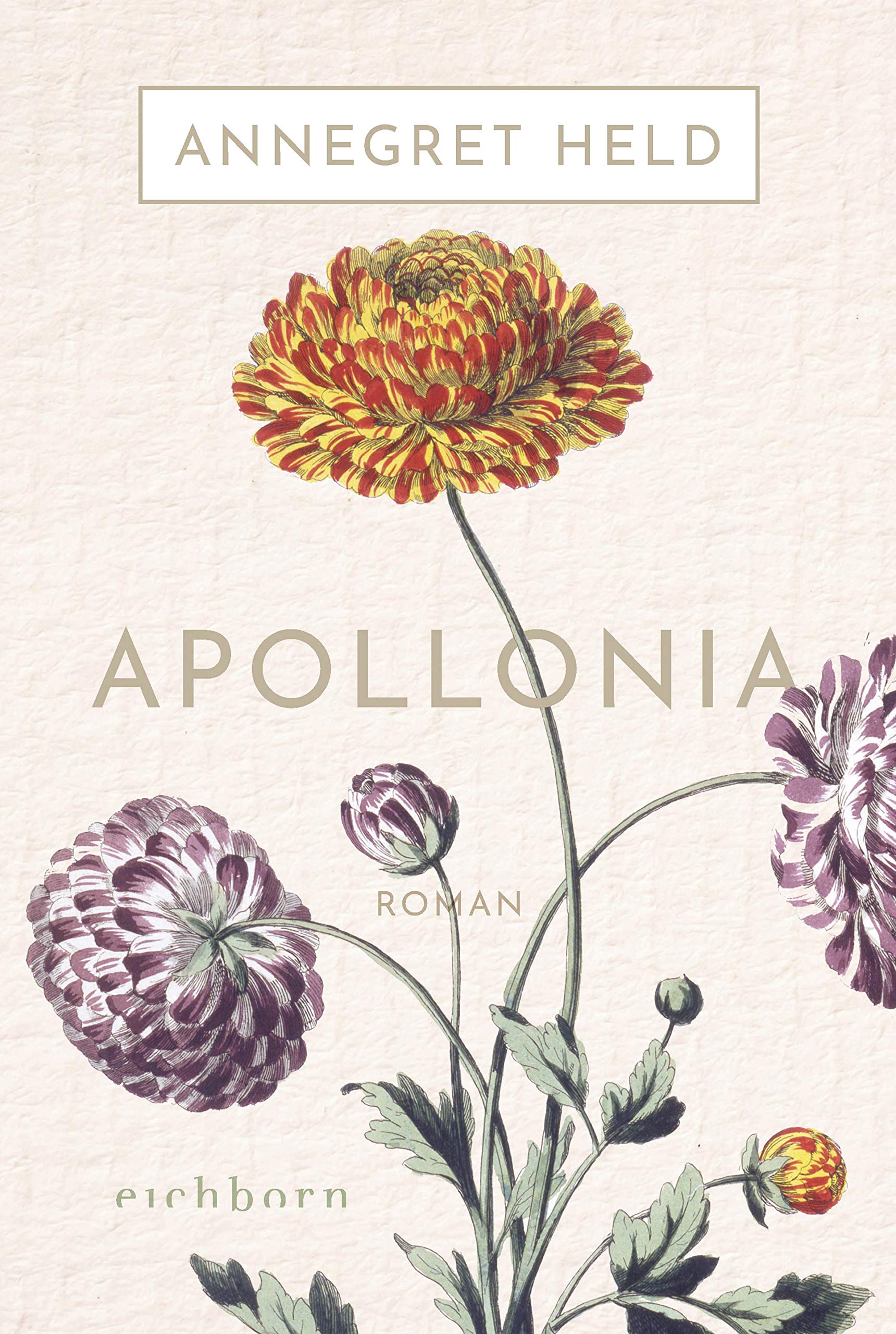 Apollonia Social Sciences
