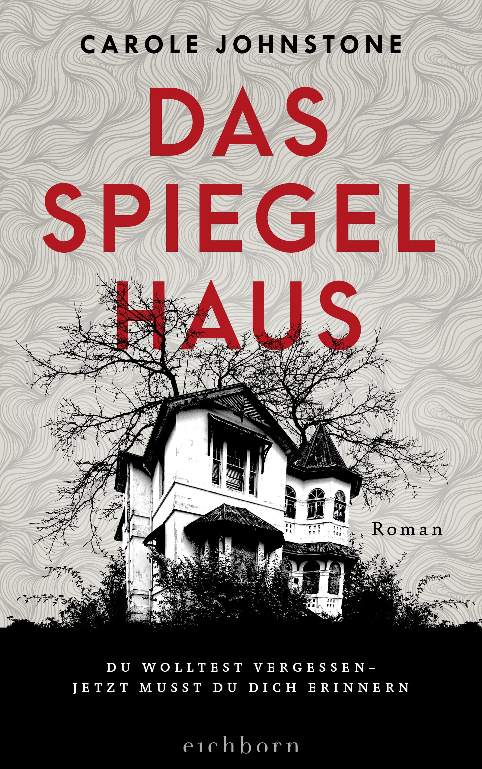 Das Spiegelhaus Contemporary literature Books