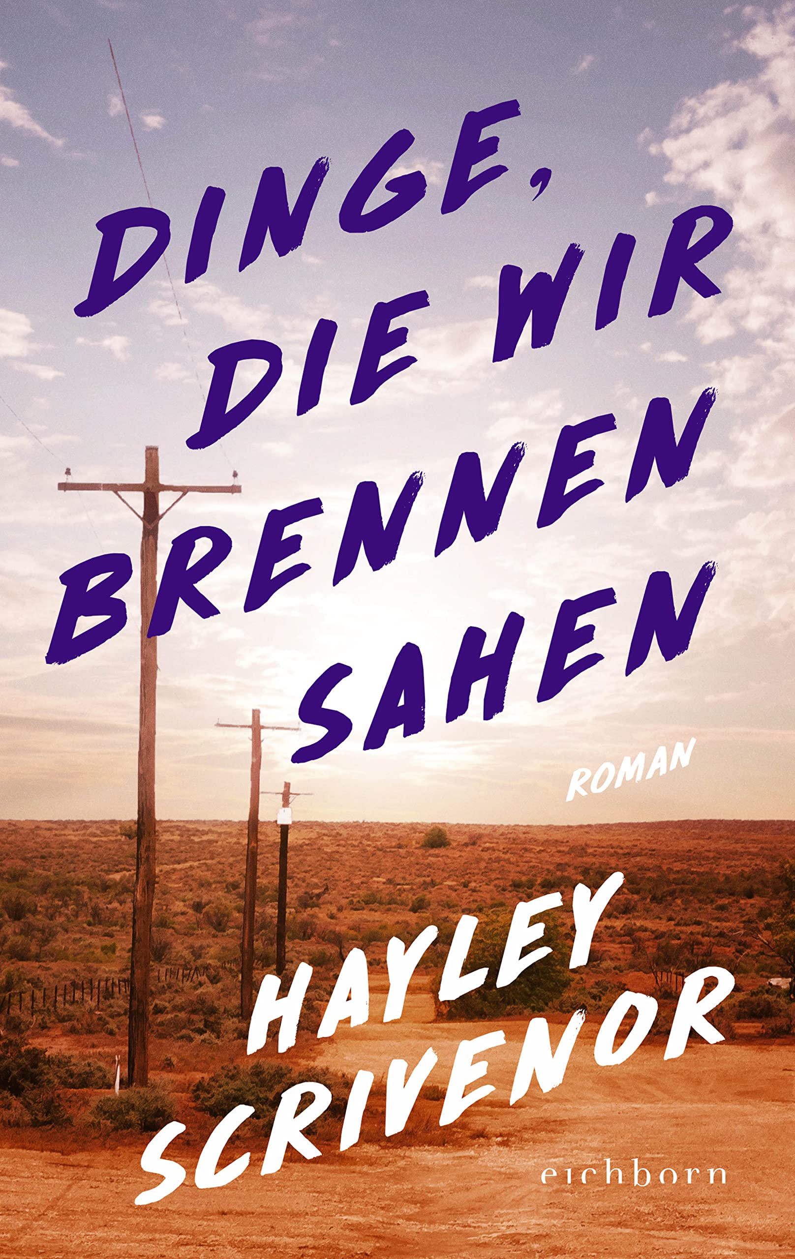Dinge, die wir brennen sahen Contemporary literature