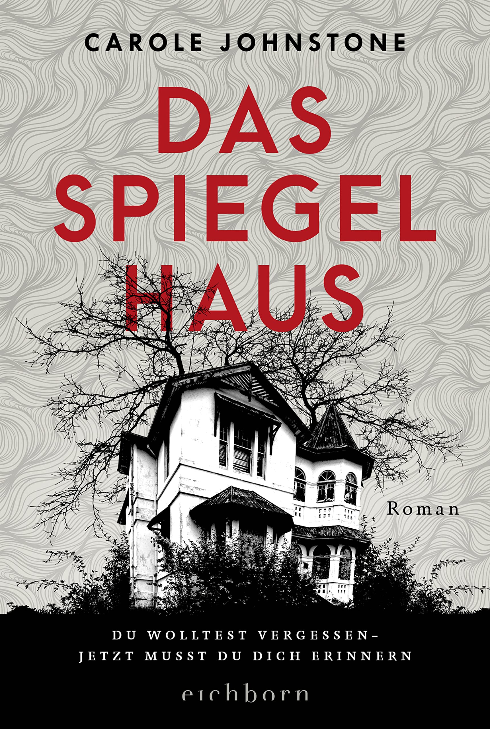 Das Spiegelhaus Contemporary literature Books
