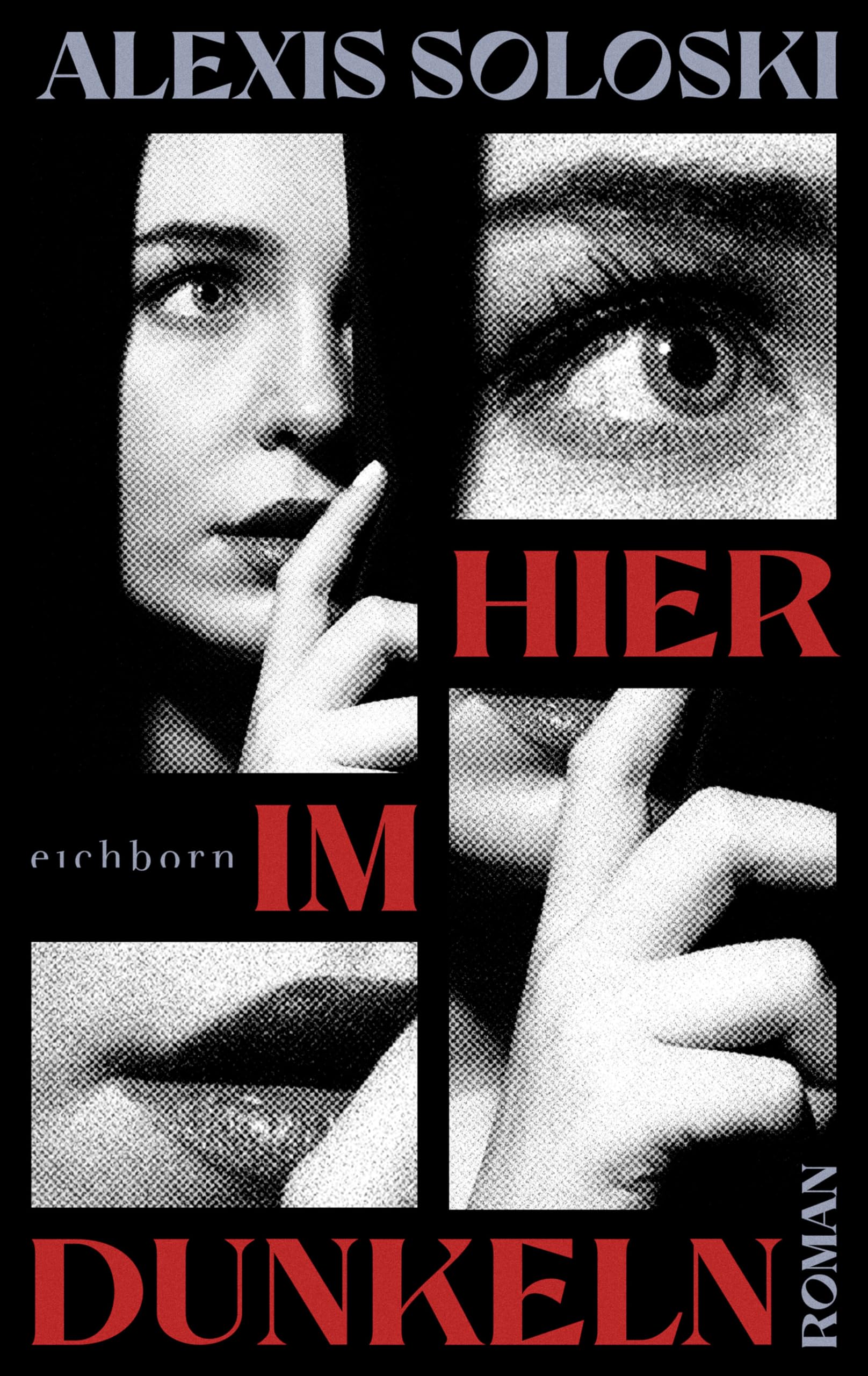 Hier im Dunkeln: Roman Contemporary literature