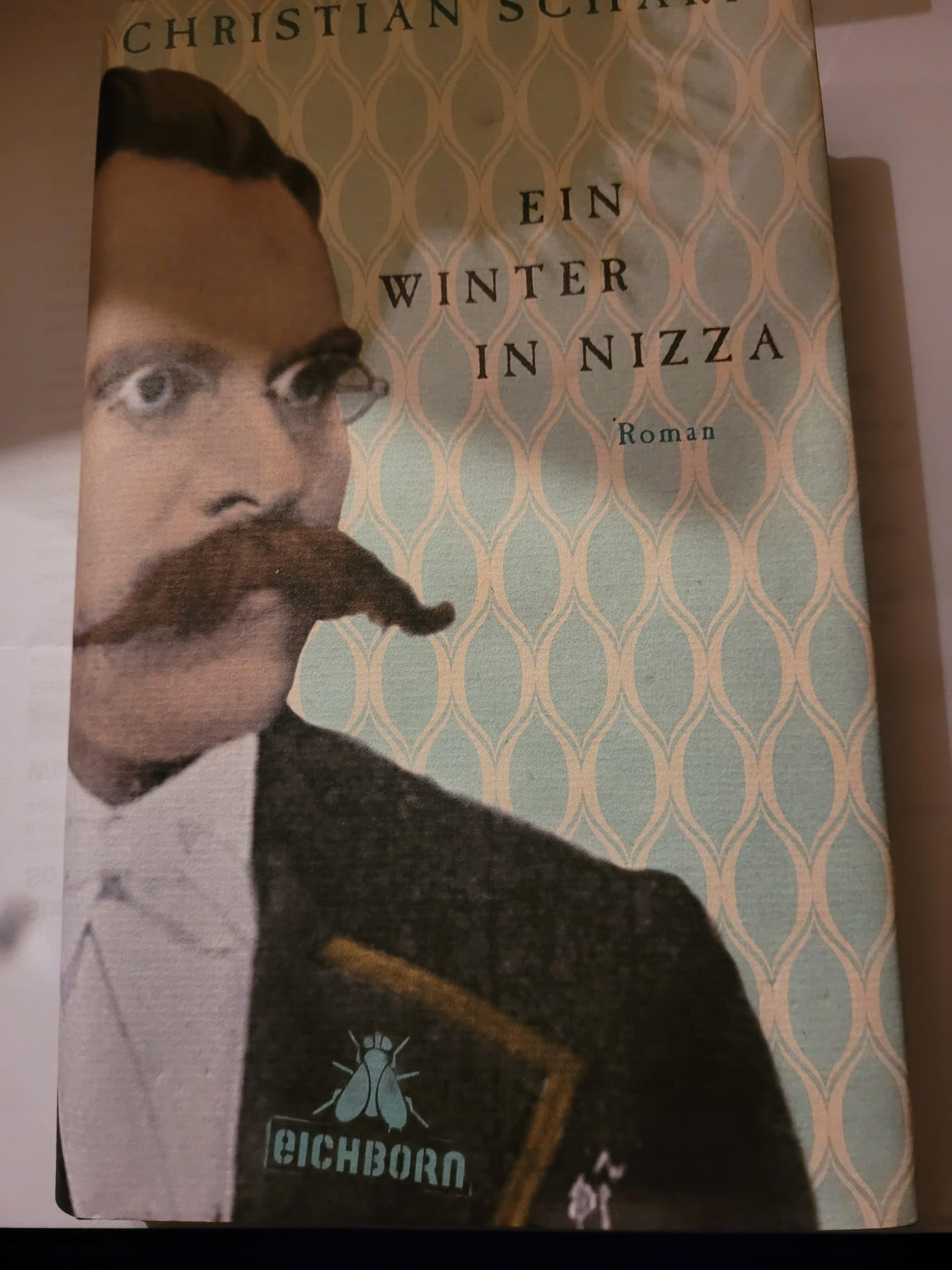 Ein Winter in Nizza Contemporary literature Books