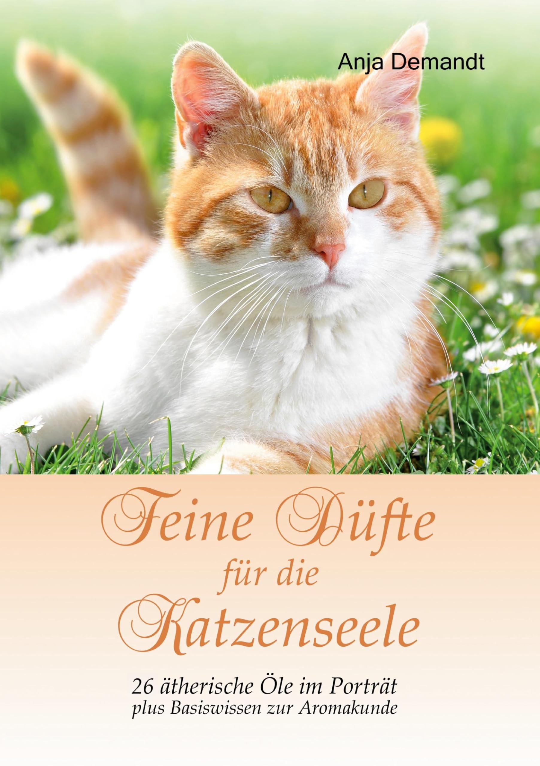Feine Düfte für die Katzenseele Medicine