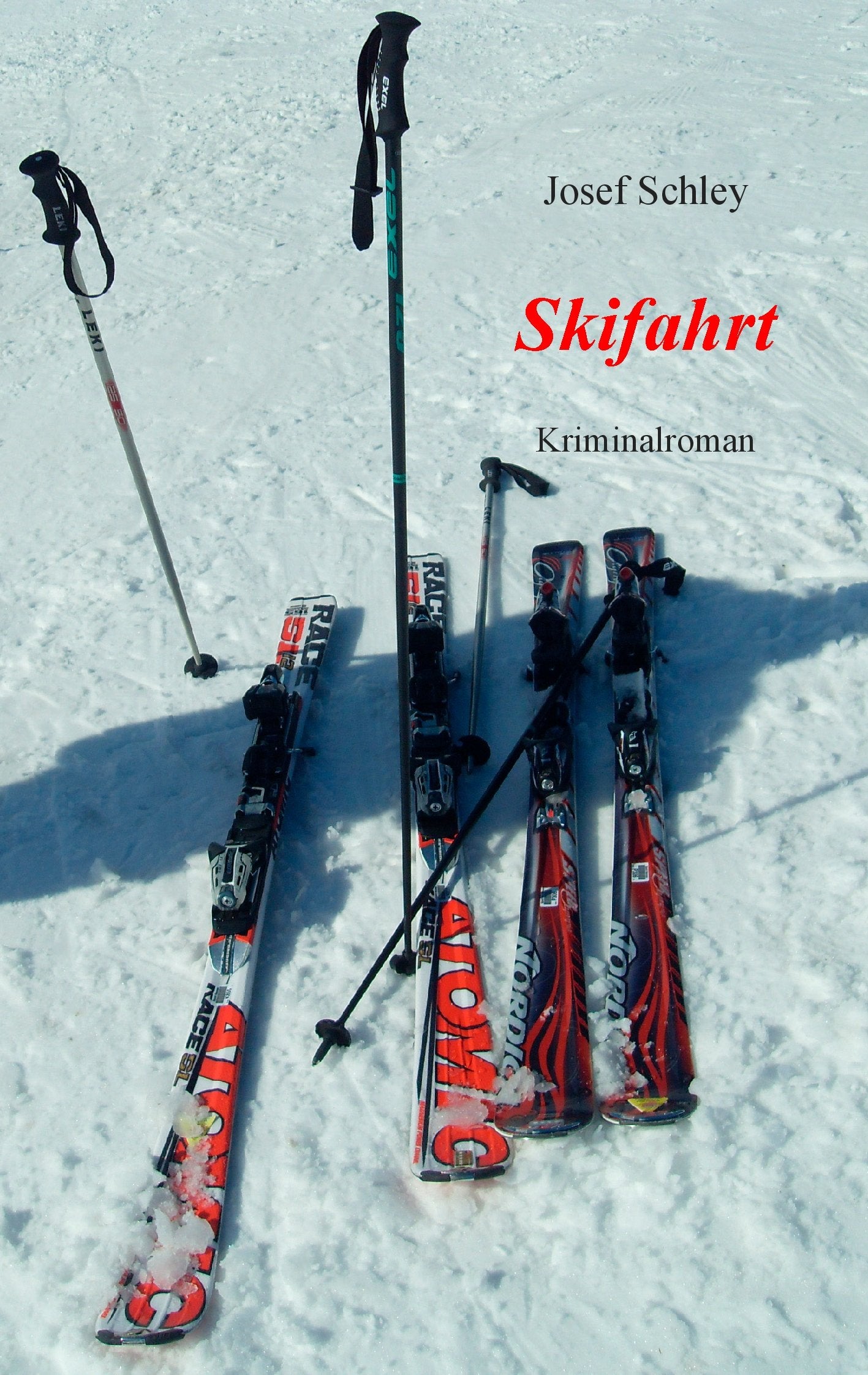 Skifahrt Contemporary literature Books