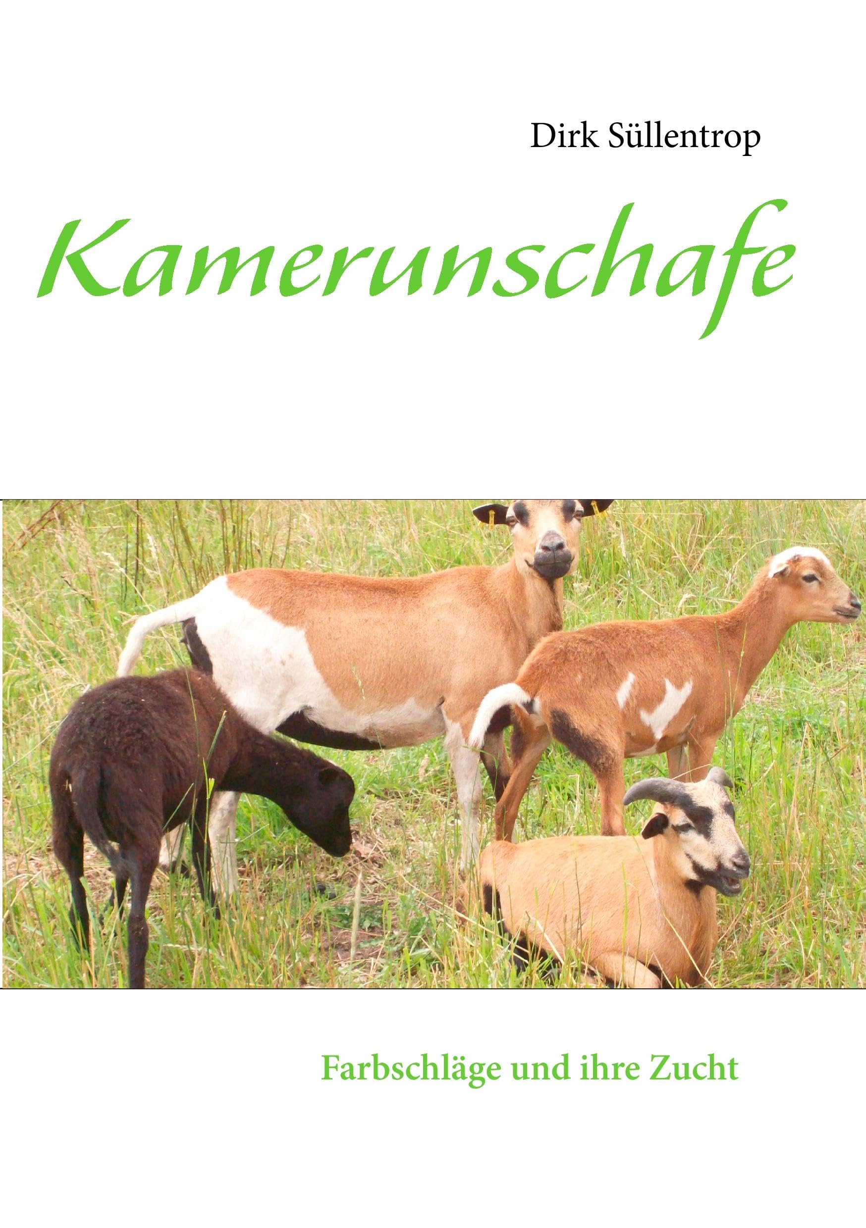 Kamerunschafe: Farbschläge und ihre Zucht Pets
