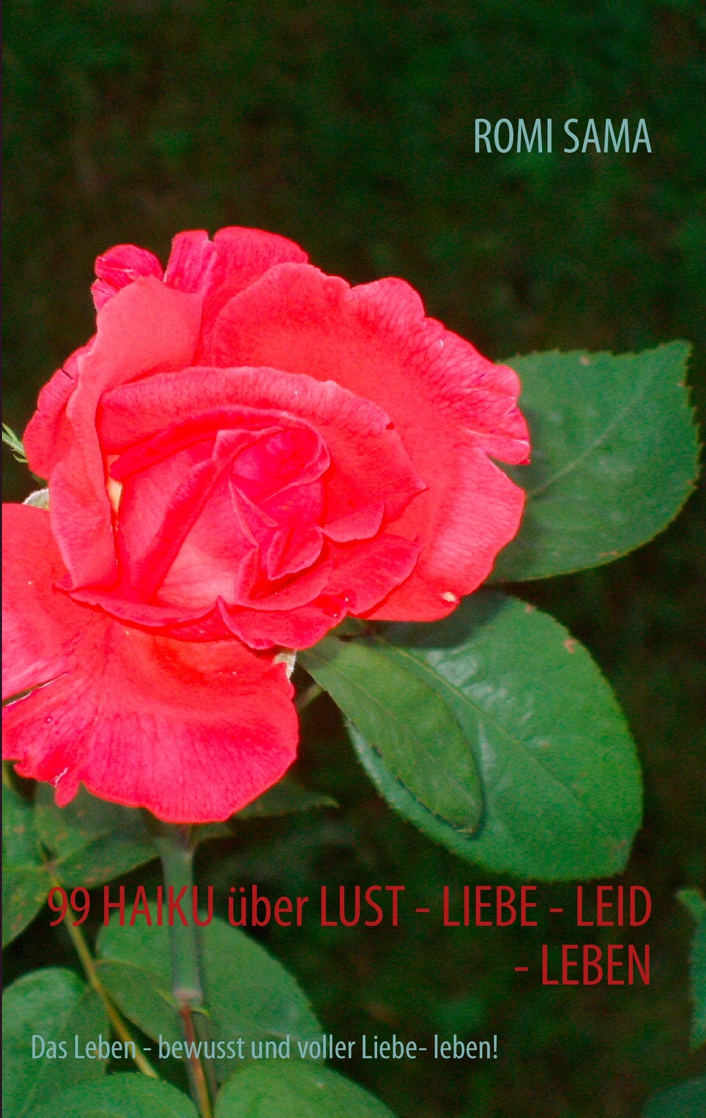 99 HAIKU über LUST - LIEBE - LEID - LEBEN Poetry