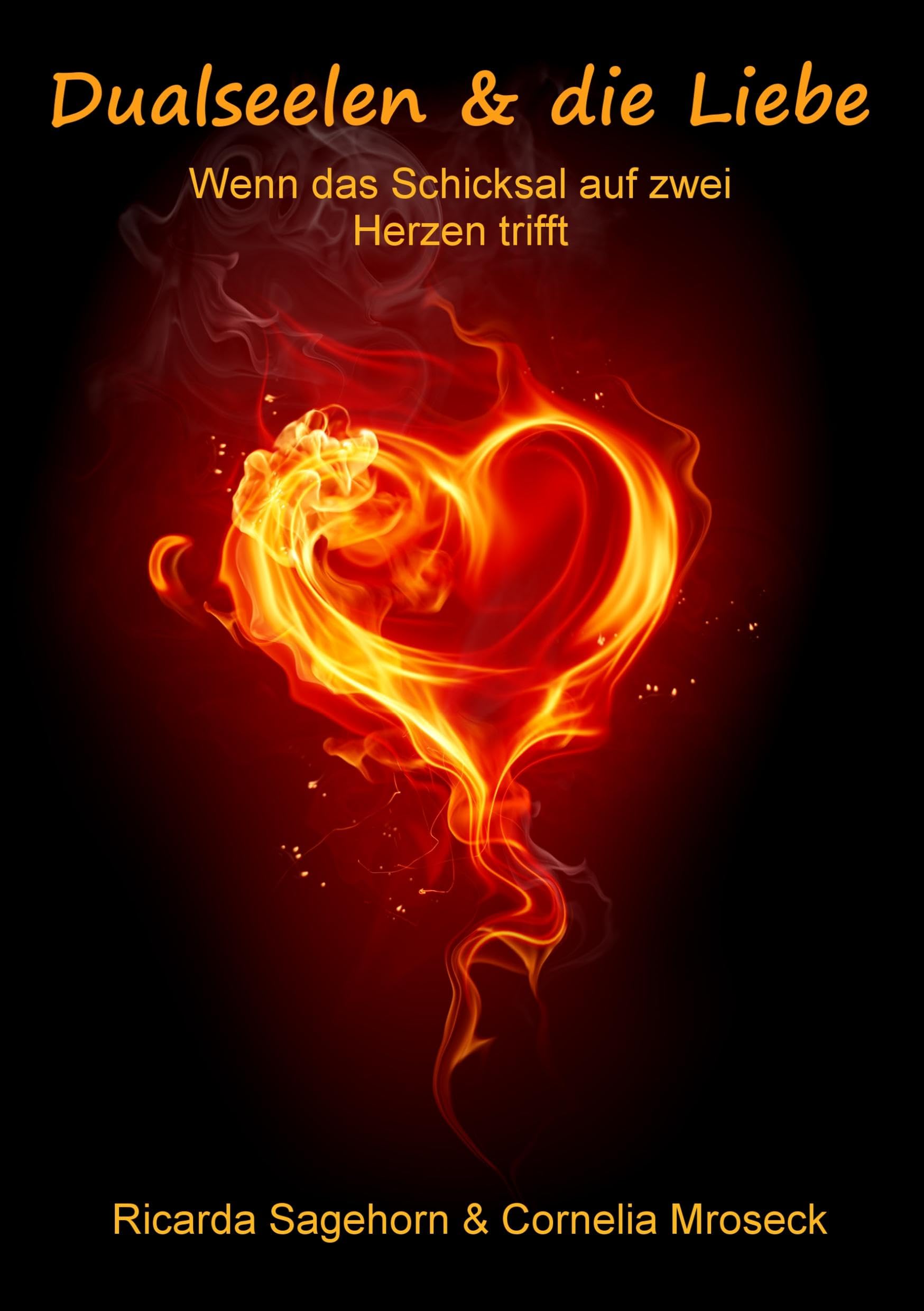 Dualseelen & die Liebe Contemporary literature
