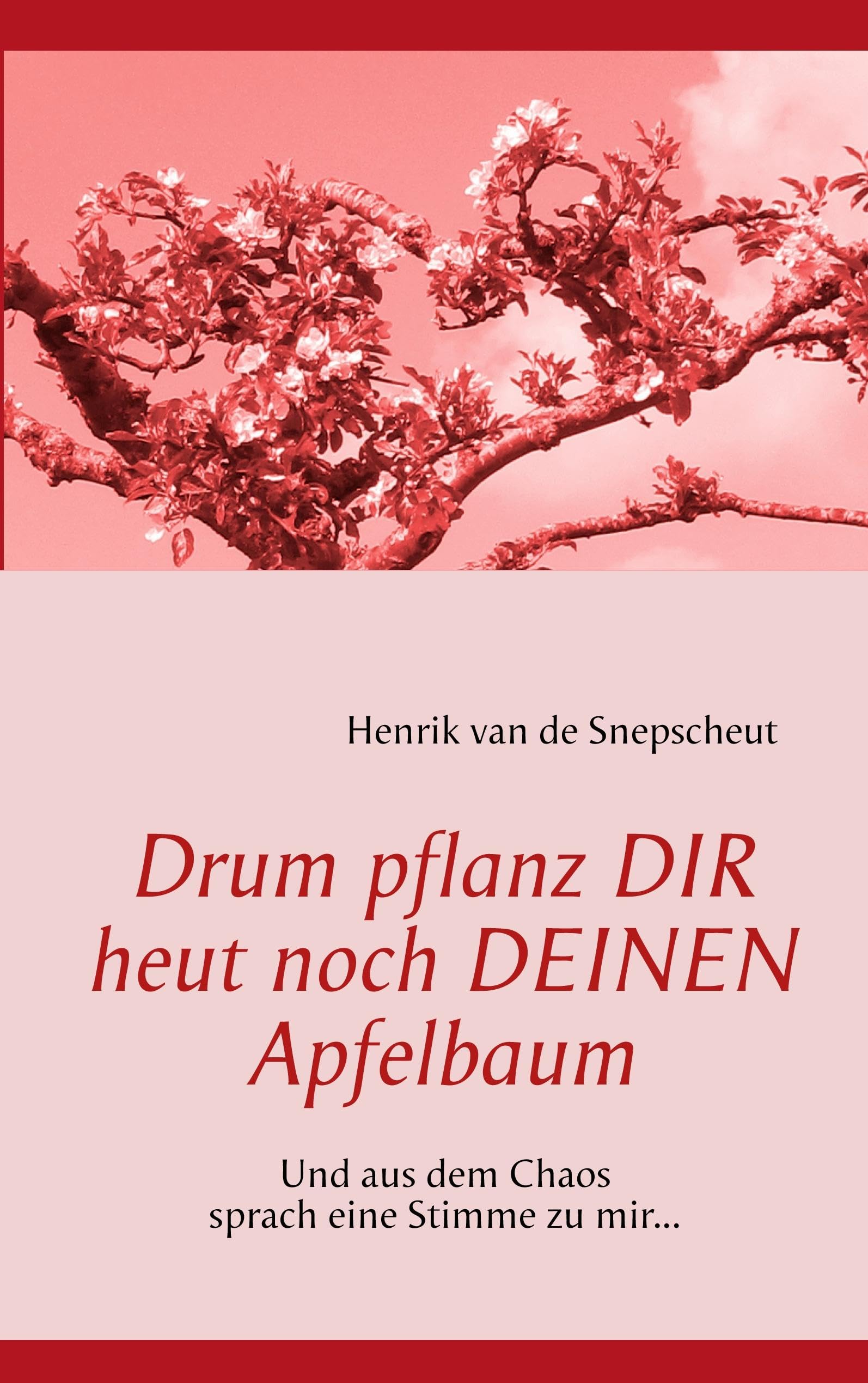 Drum pflanz Dir heut noch Deinen Apfelbaum: Und aus dem Chaos sprach eine Stimme zu mir... Social Sciences