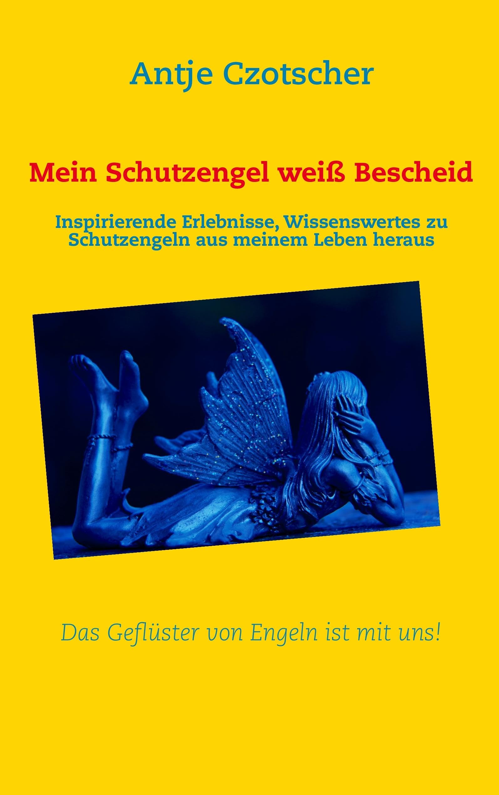 Mein Schutzengel weiß Bescheid Religion & Esotericism