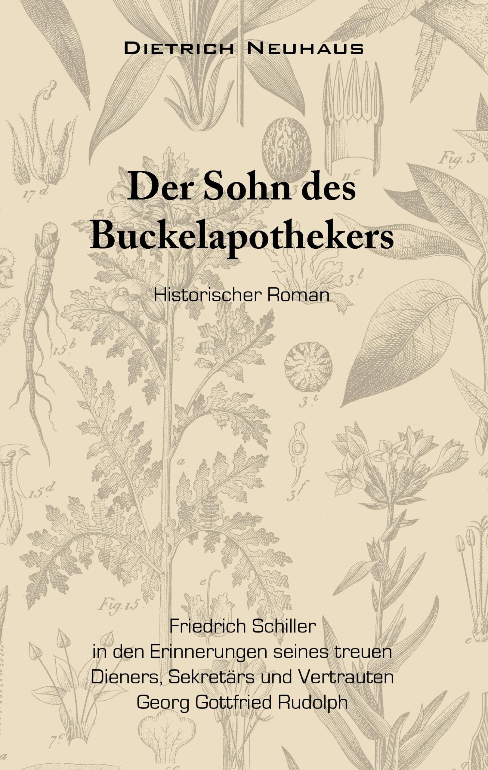 Der Sohn des Buckelapothekers Historical Fiction