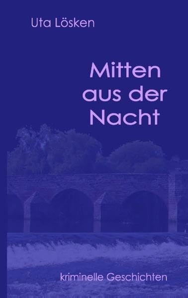 Mitten aus der Nacht: kriminelle Geschichten Contemporary literature