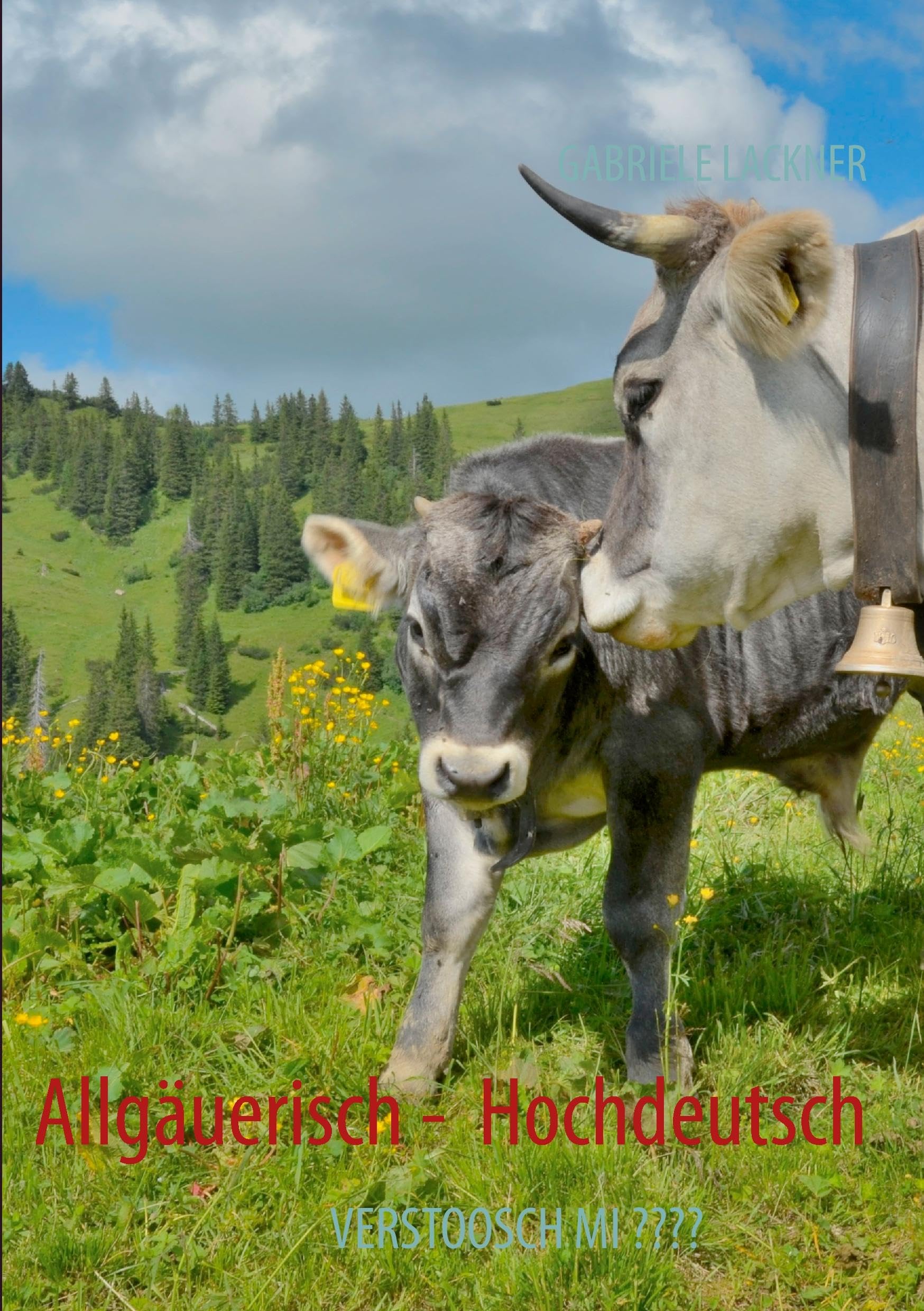 Allgäuerisch -  Hochdeutsch Self-help