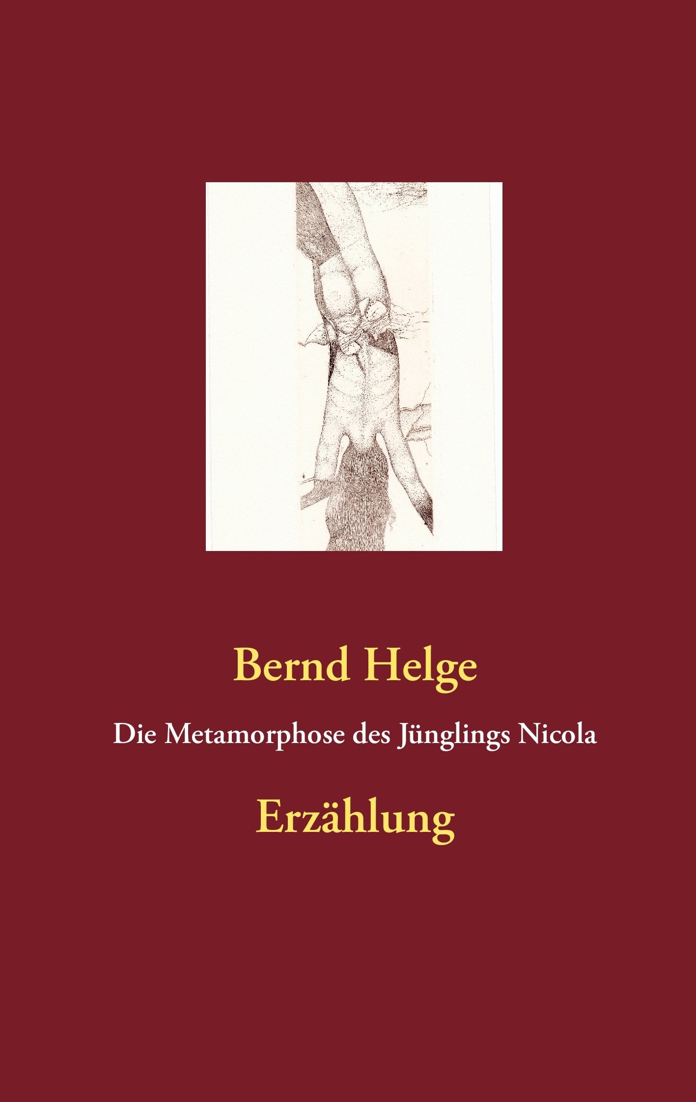Die Metamorphose des Jünglings Nicola: Erzählung Contemporary literature