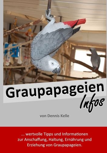 Graupapageien Infos Pets