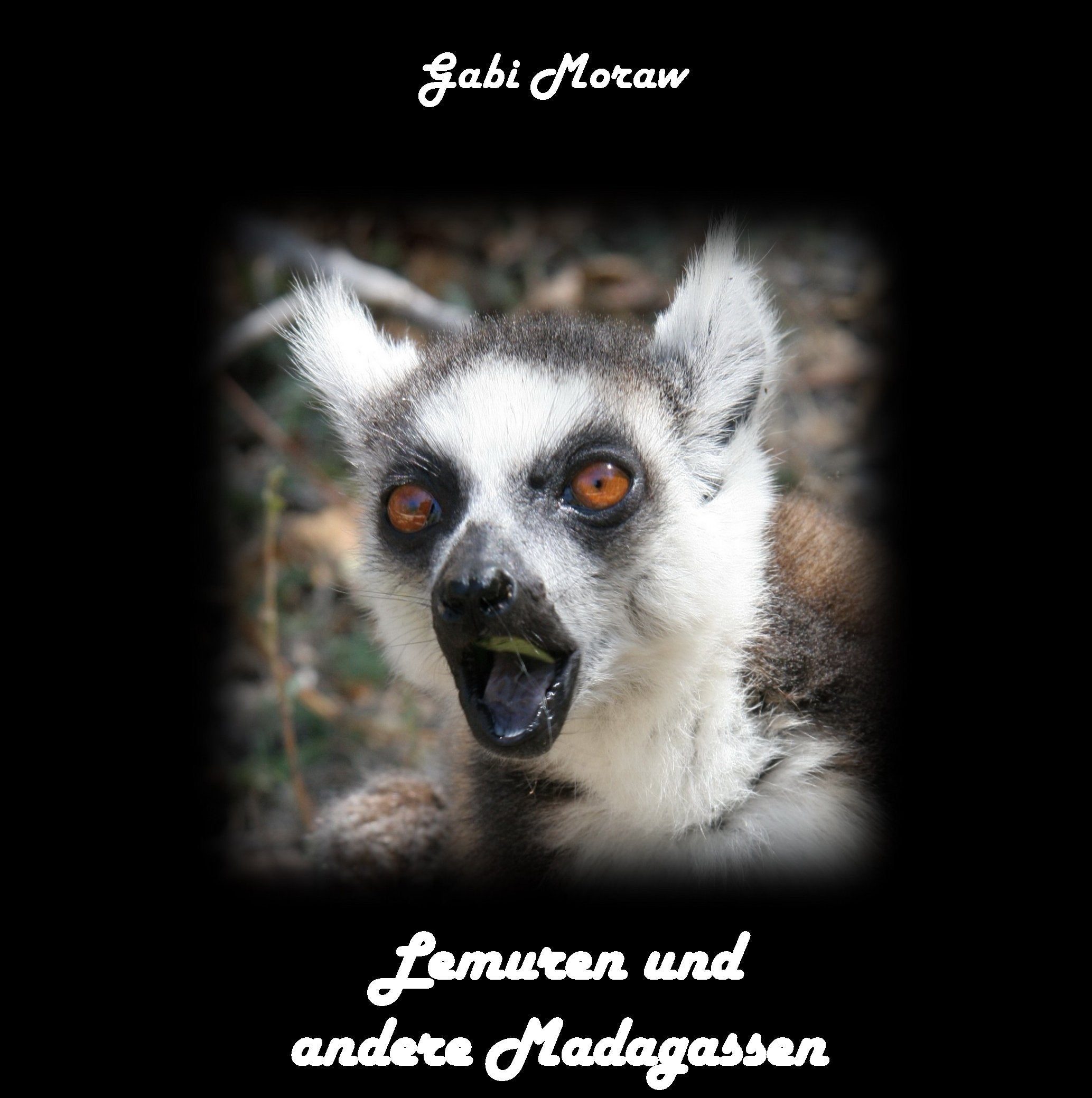 Lemuren und andere Madagassen Leisure, Home & Garden