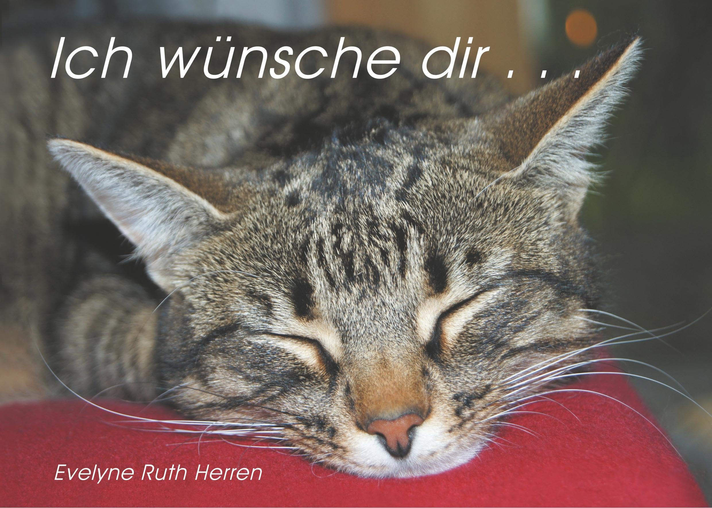 Ich wünsche dir ... Humour & Satire