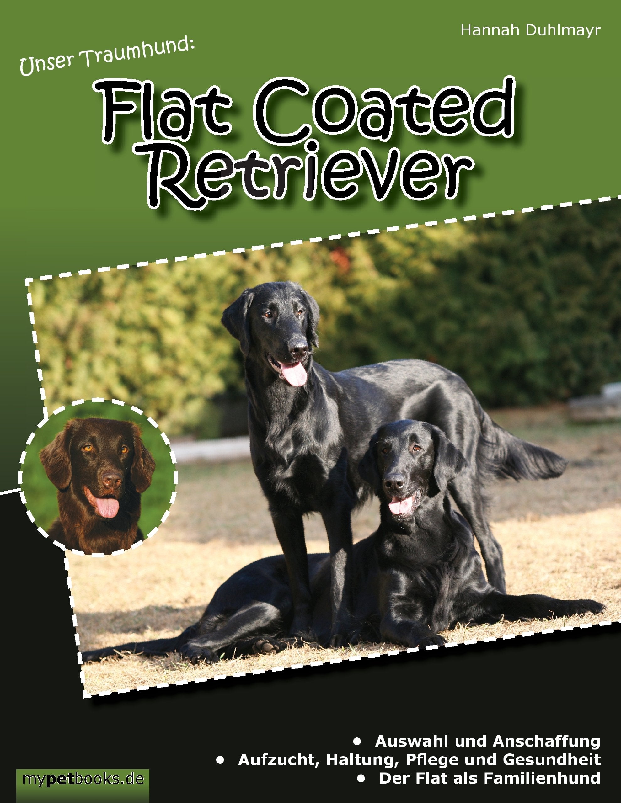 Unser Traumhund: Flat Coated Retriever Pets