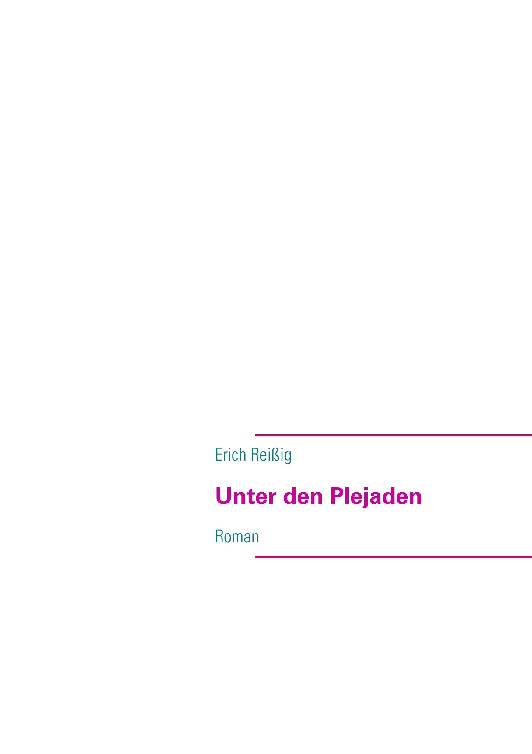 Unter den Plejaden: Roman Contemporary literature