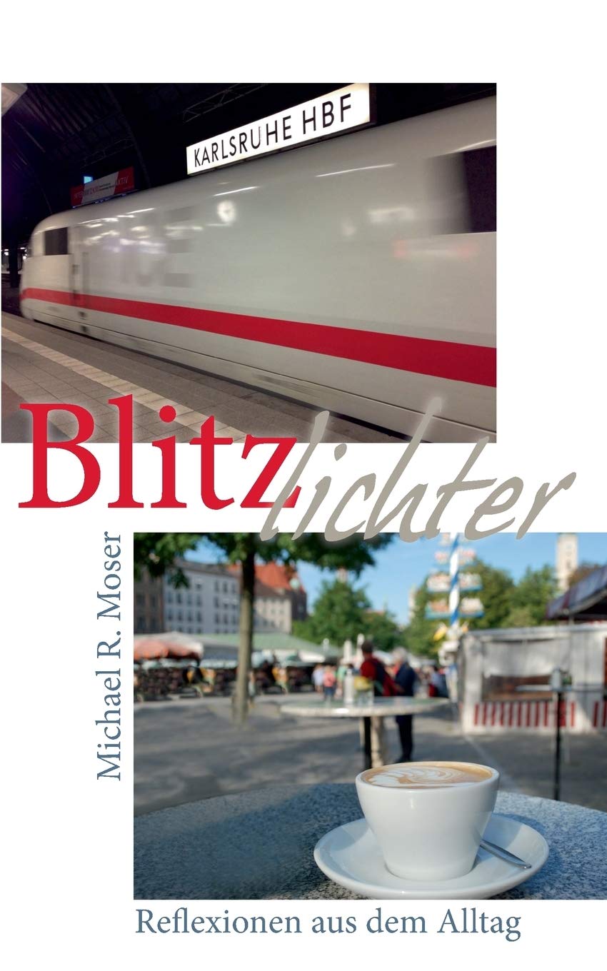 Blitzlichter: Beobachtungen und Reflexionen aus dem Alltag Contemporary literature