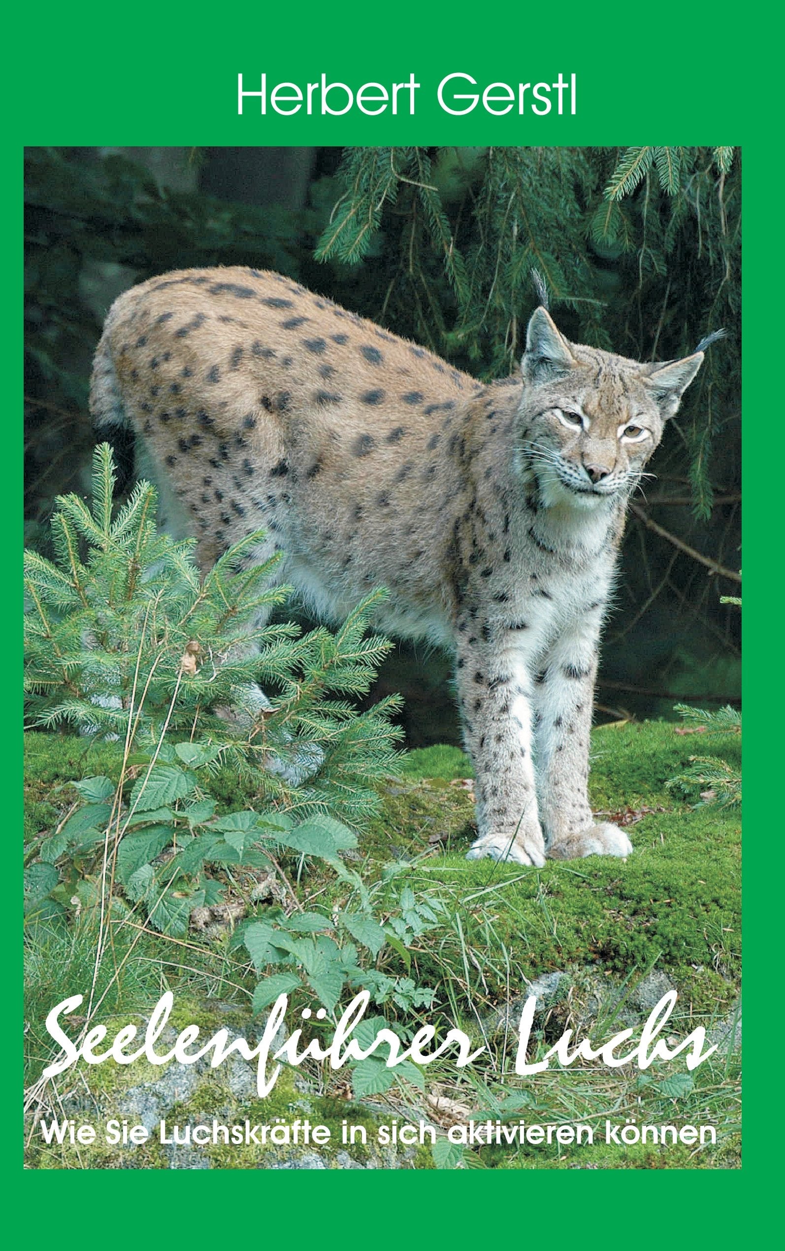 Product Image: Seelenführer Luchs