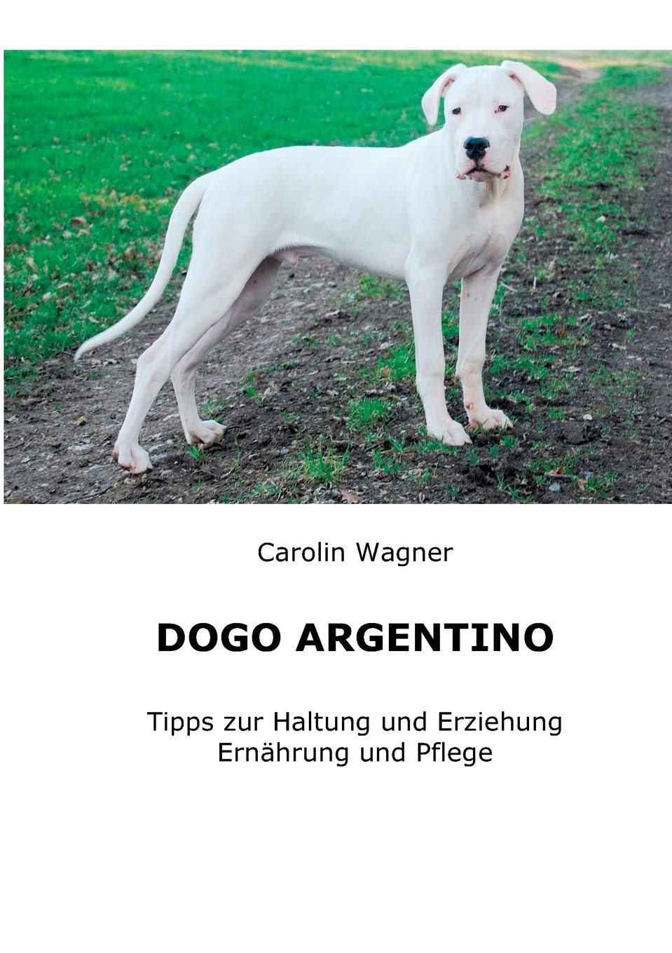 Dogo Argentino: Tipps zur Haltung und Erziehung, Ernährung und Pflege Pets