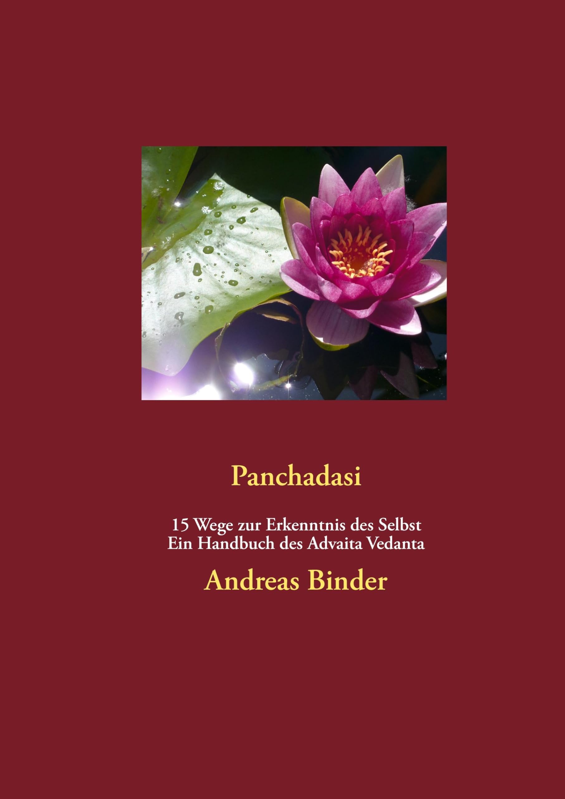 Panchadasi - 15 Wege zur Erkenntnis des Selbst: Ein Handbuch des Advaita Vedanta Religion & Esotericism