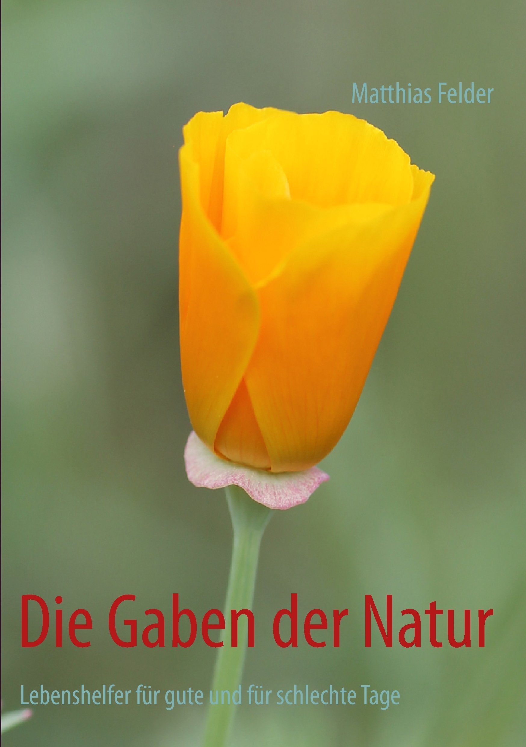 Die Gaben der Natur: Lebenshelfer für gute und für schlechte Tage Health, Nutrition & Fitness