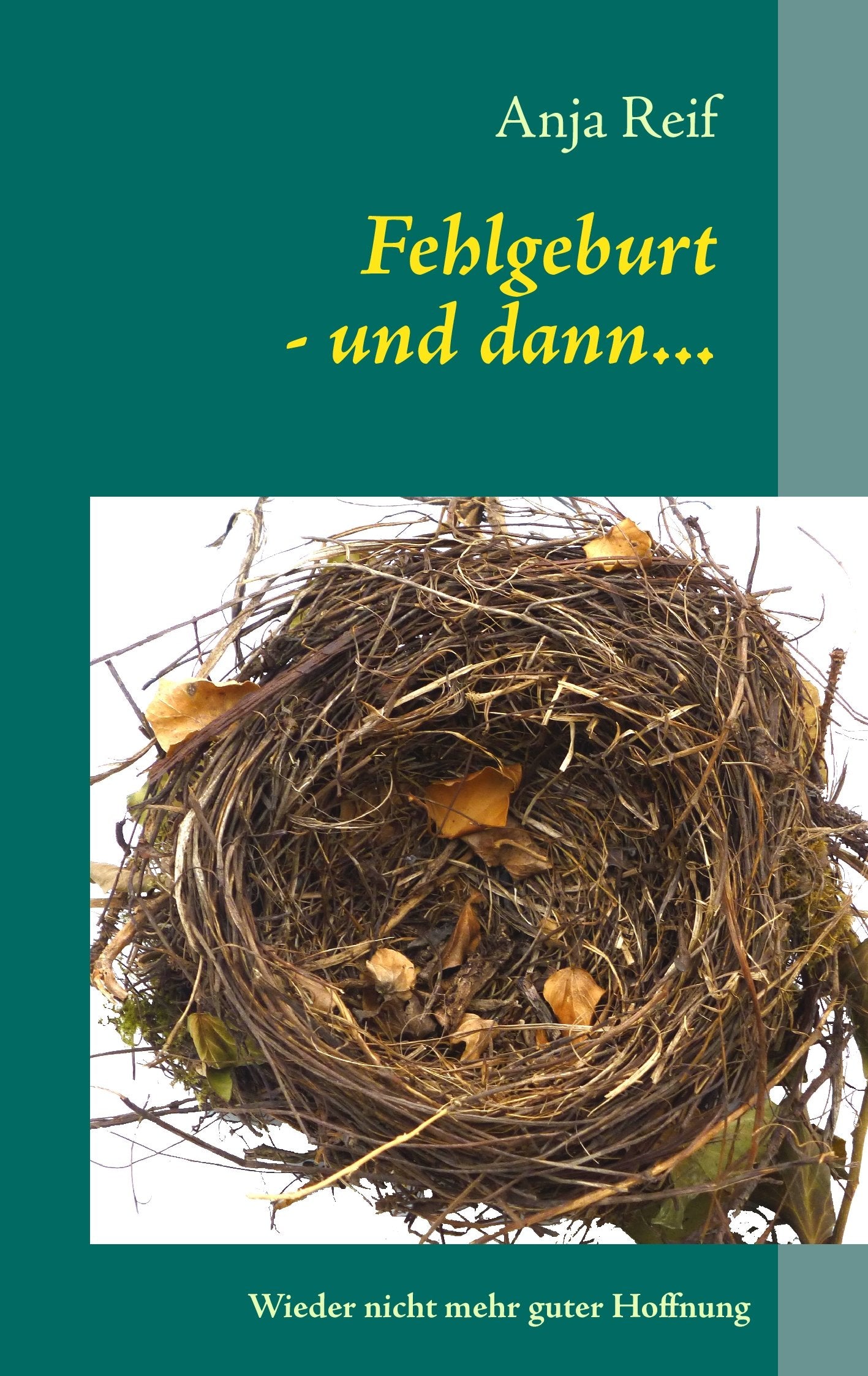 Product Image: Fehlgeburt - und dann...
