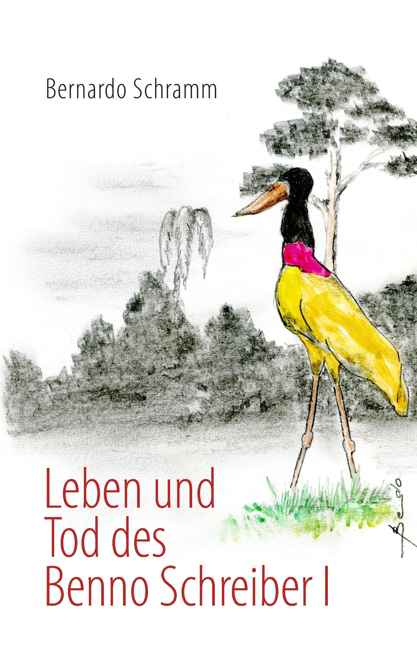 Leben und Tod des Benno Schreiber I Contemporary literature