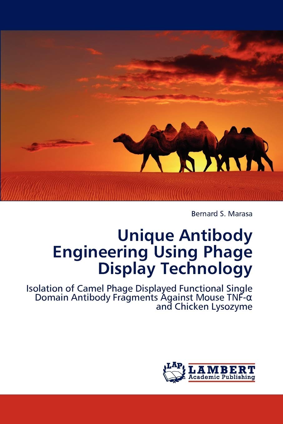 Unique Antibody Engineering Using Phage Display Technology: Isolation of Camel Phage Displayed Functional Single Domain Antibody Fragments Against ... Against Mouse TNF-¿ and Chicken Lysozyme Medicine
