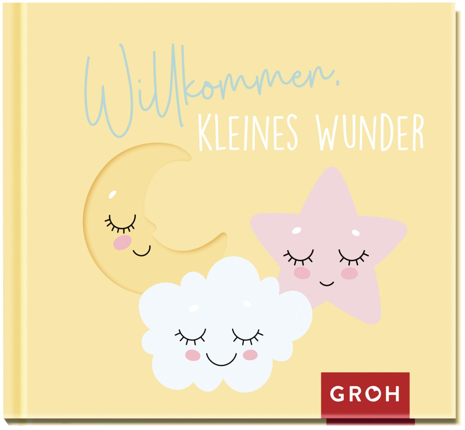 Willkommen, kleines Wunder Parents & Children Books