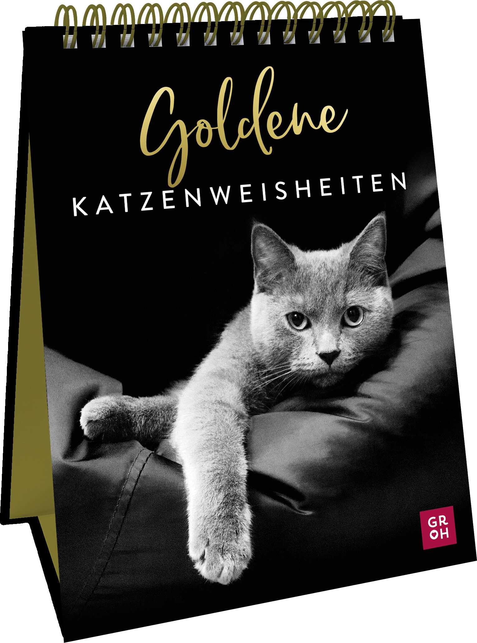 Goldene Katzenweisheiten Lifestyle