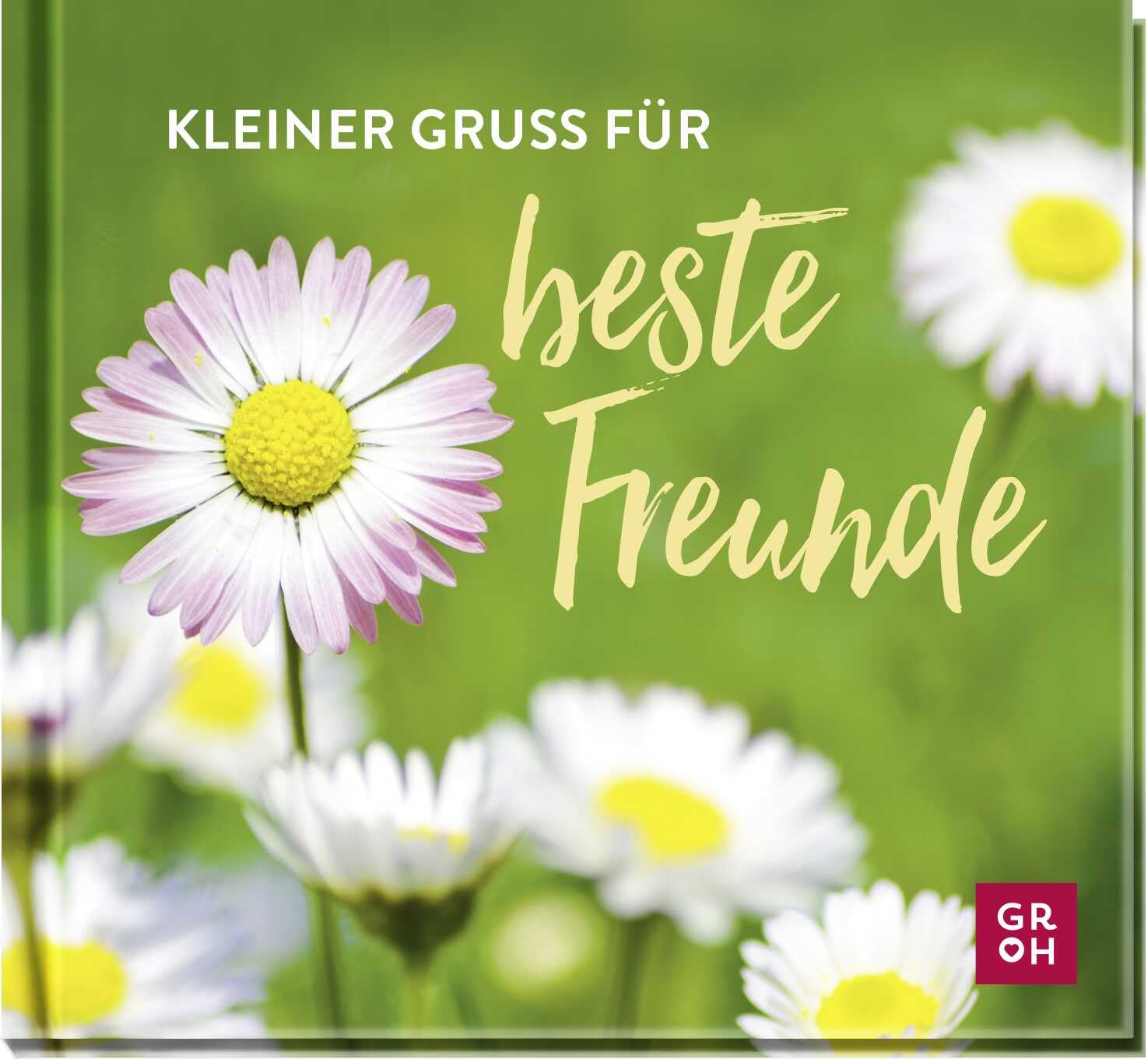 Kleiner Gruß für beste Freunde: Geschenkbuch mit Texten und Zitaten als Geschenk zum Geburtstag oder für zwischendurch Lifestyle