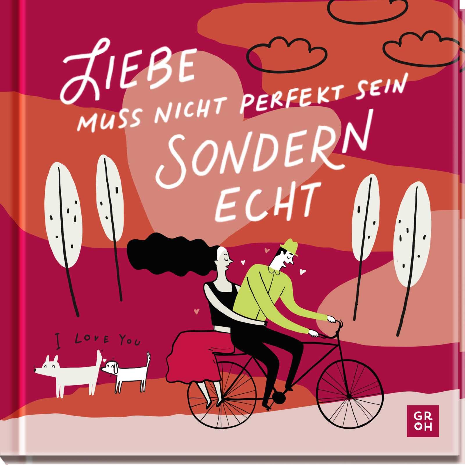 Liebe muss nicht perfekt sein, sondern echt: Illustriertes Geschenkbuch über die Facetten der Liebe - Das perfekte Geschenk zur Hochzeit, zum Jahrestag oder Valentinstag Cartoons