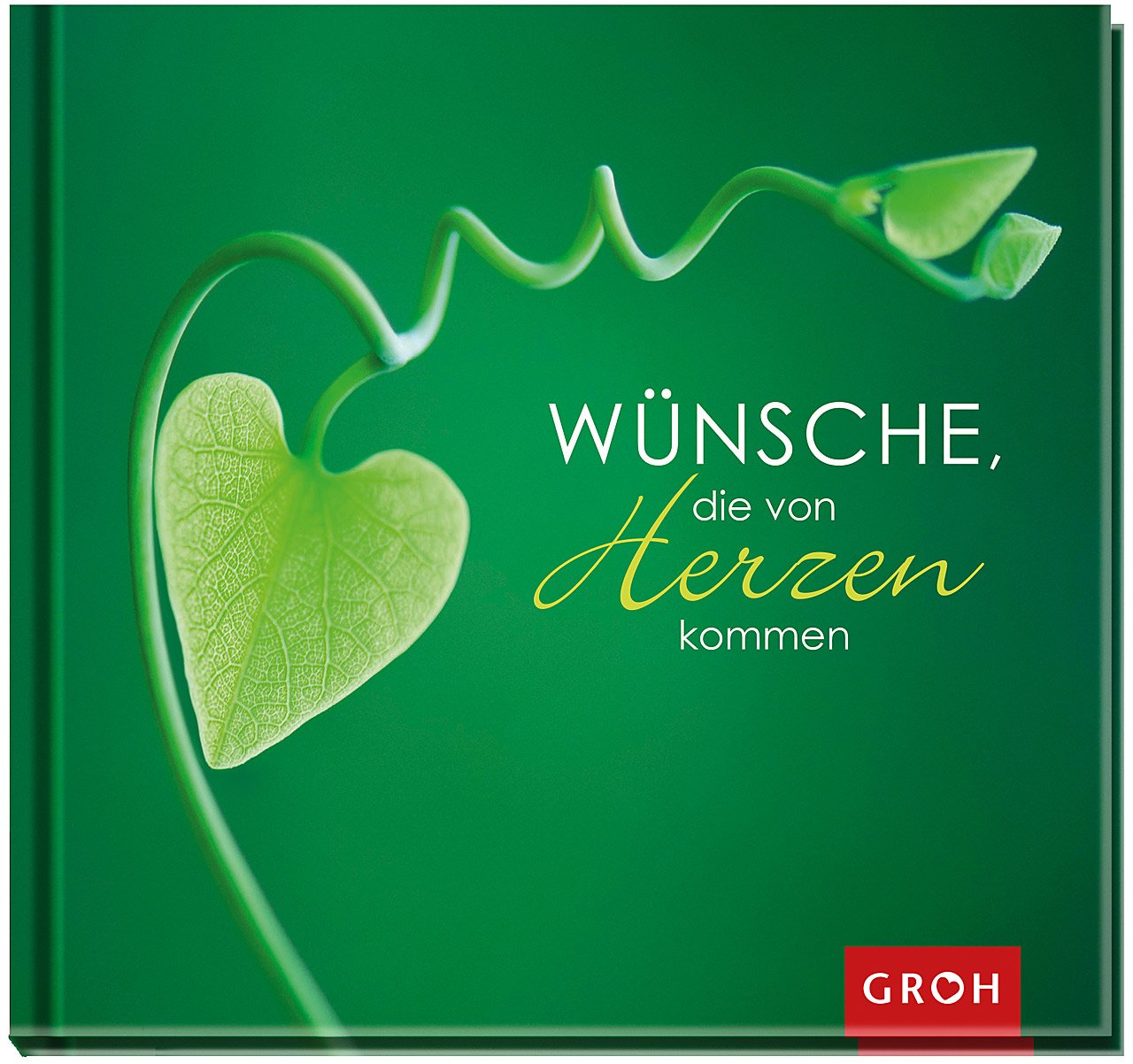 Wünsche, die von Herzen kommen Lifestyle