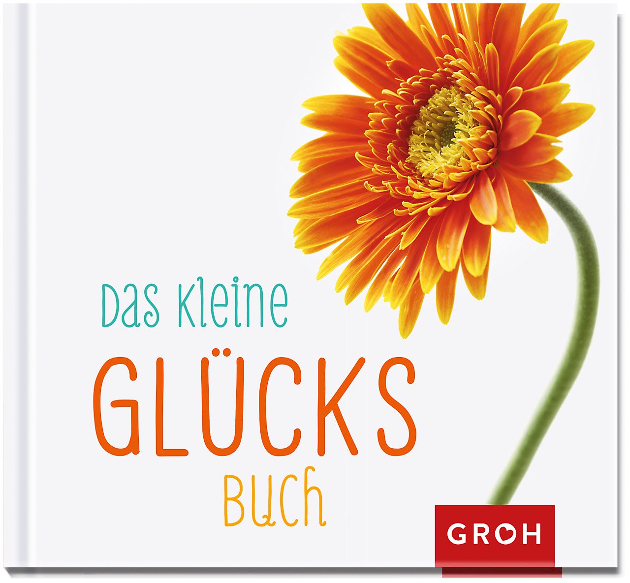 Das kleine Glücksbuch Lifestyle Books