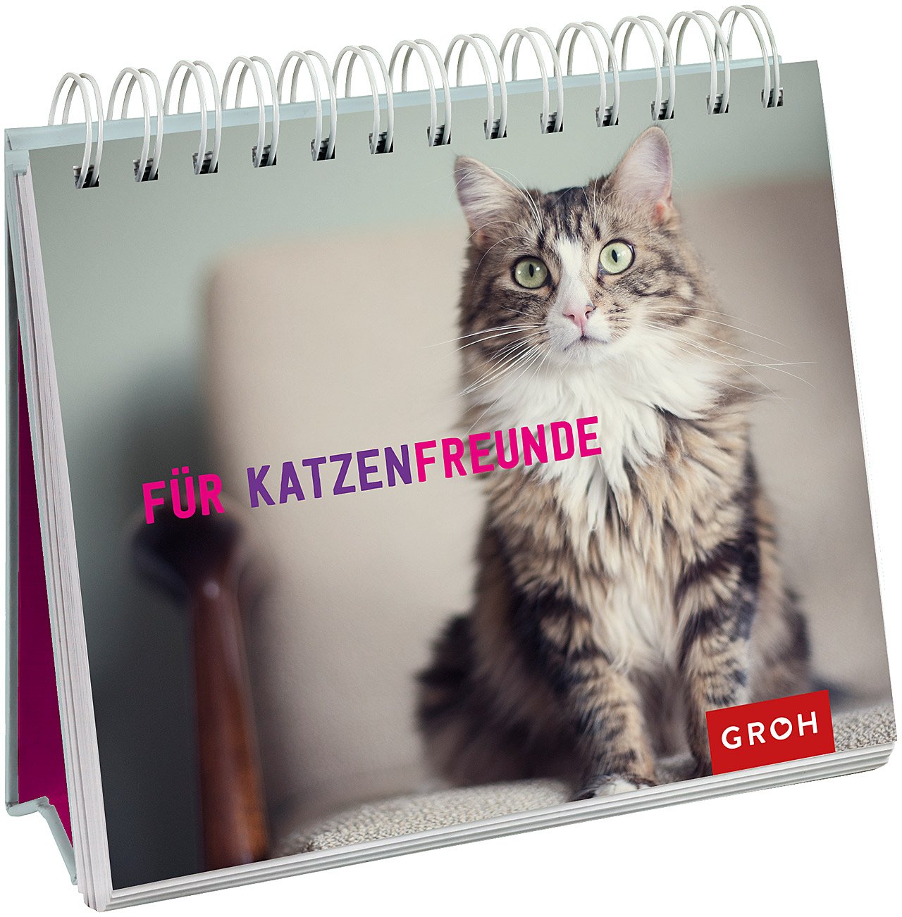Für Katzenfreunde Lifestyle