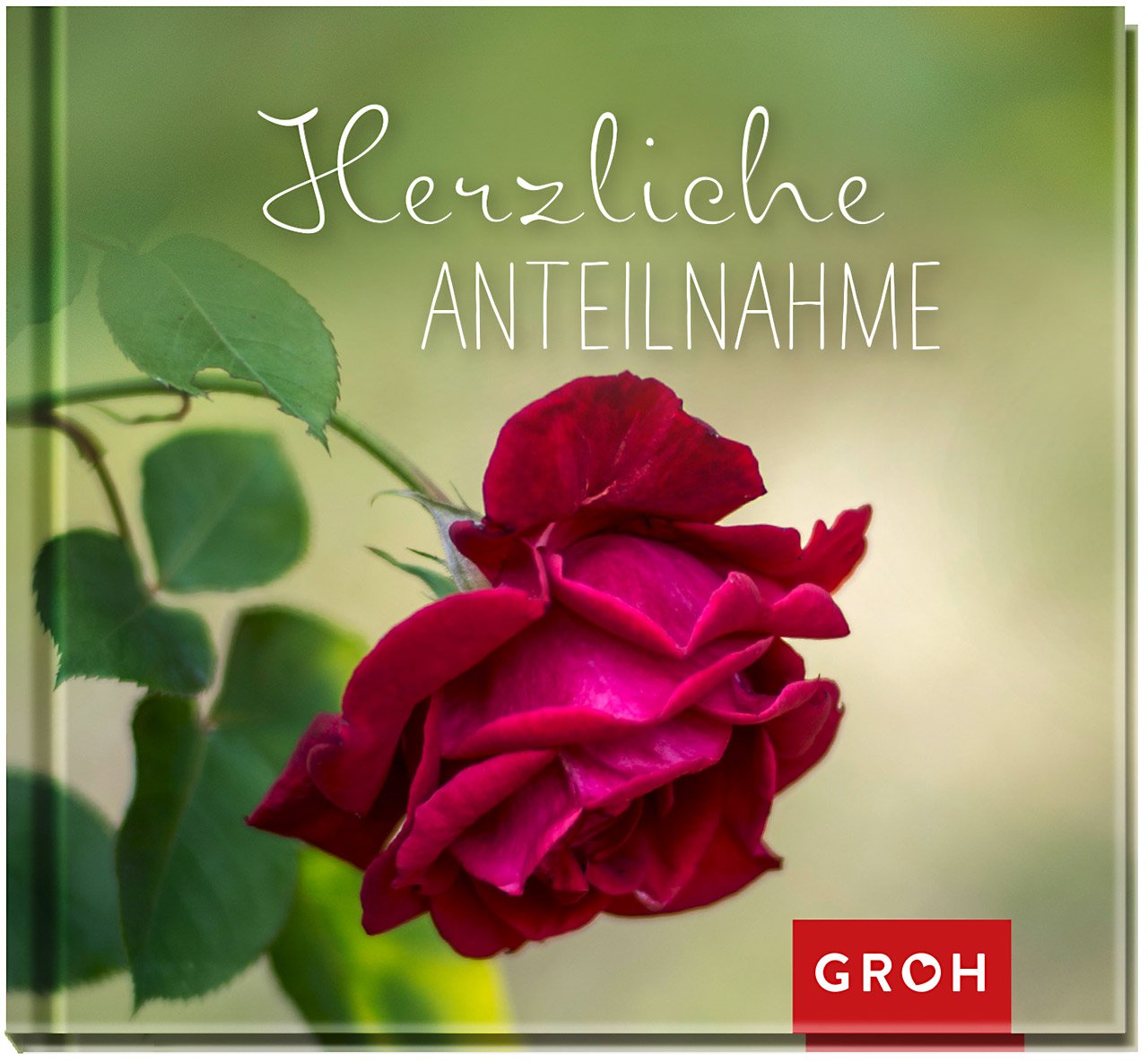 Herzliche Anteilnahme Death & Mourning