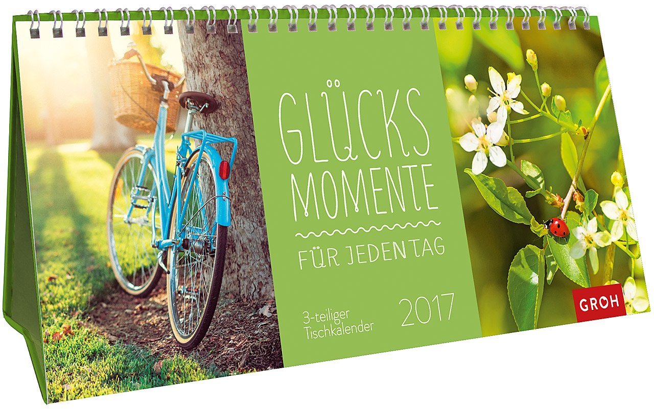 Glücksmomente für jeden Tag 2017: 3-teiliger Tischkalender mit Monatskalendarium Lifestyle