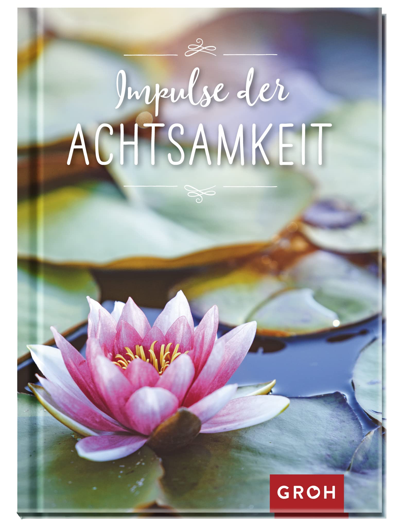 Impulse der Achtsamkeit Lifestyle